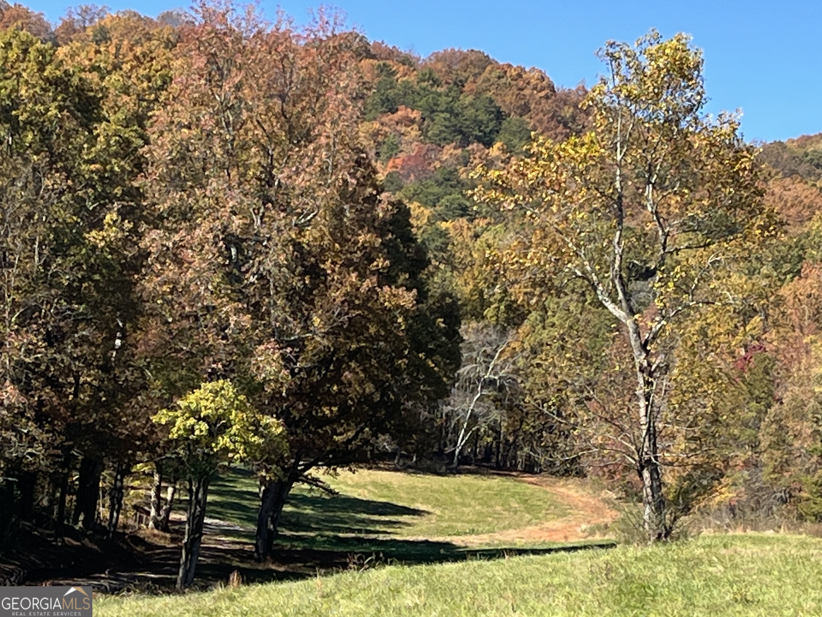 0 Freeman View Trail Lot 4 Property Photo 19