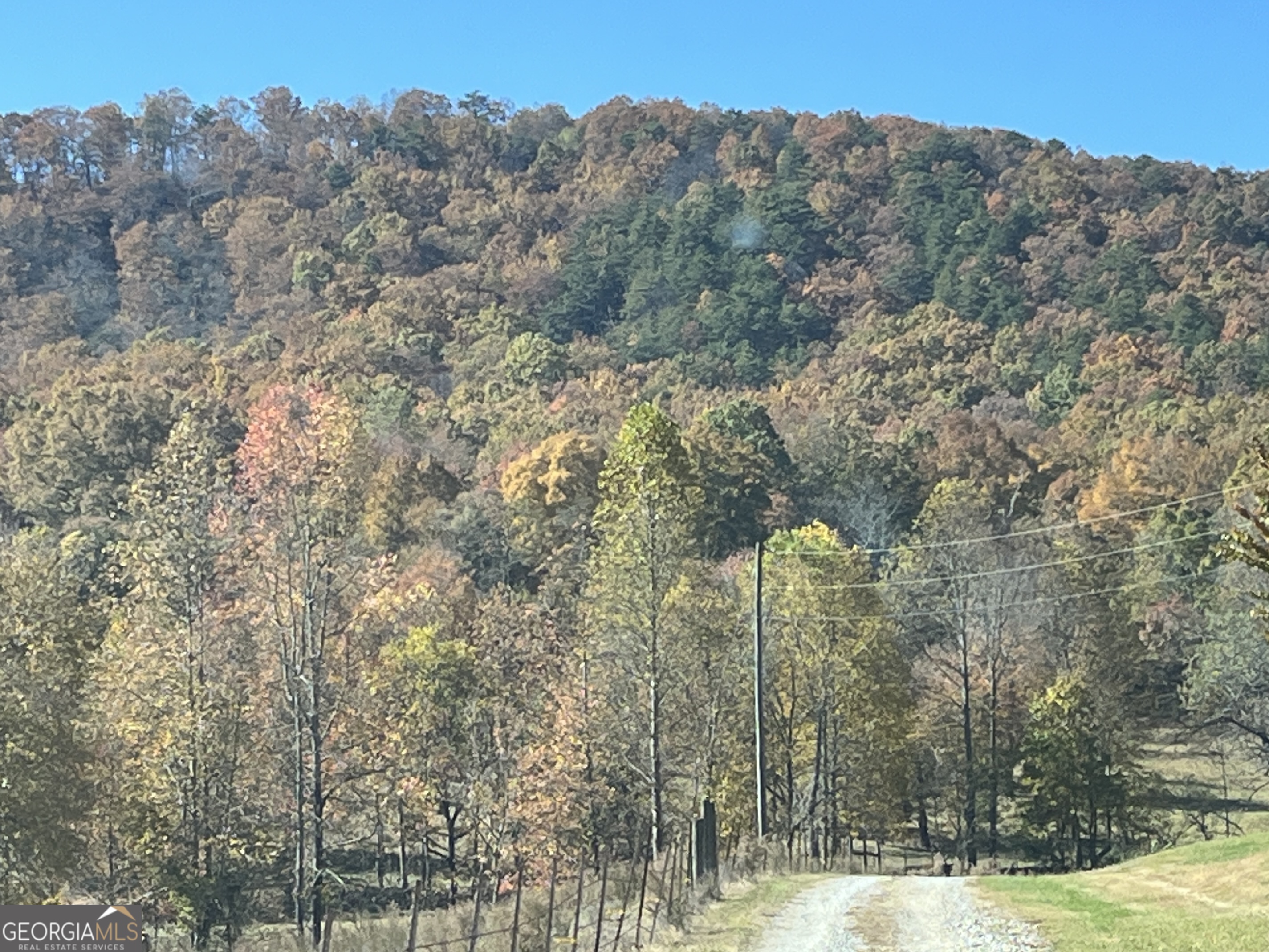 0 Freeman View Trail Lot 4 Property Photo 20