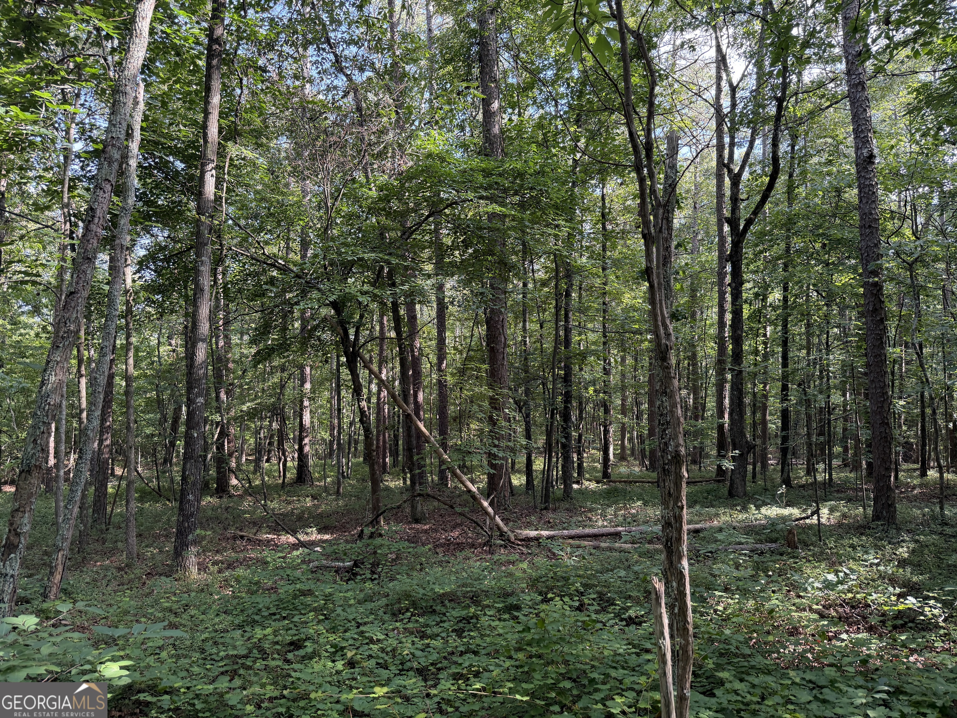 0 Clear Lake Drive Property Photo 2