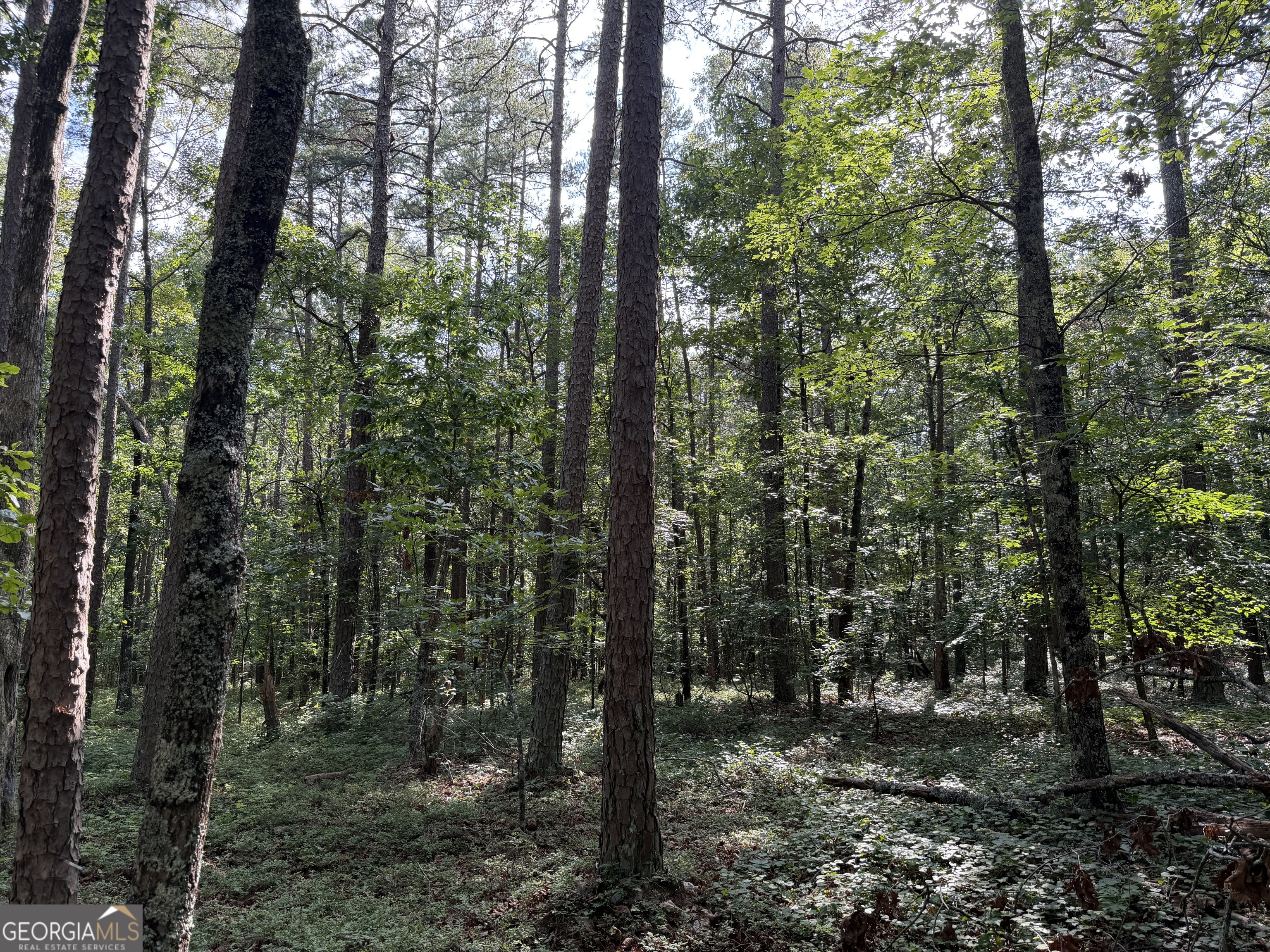 0 Clear Lake Drive Property Photo 3