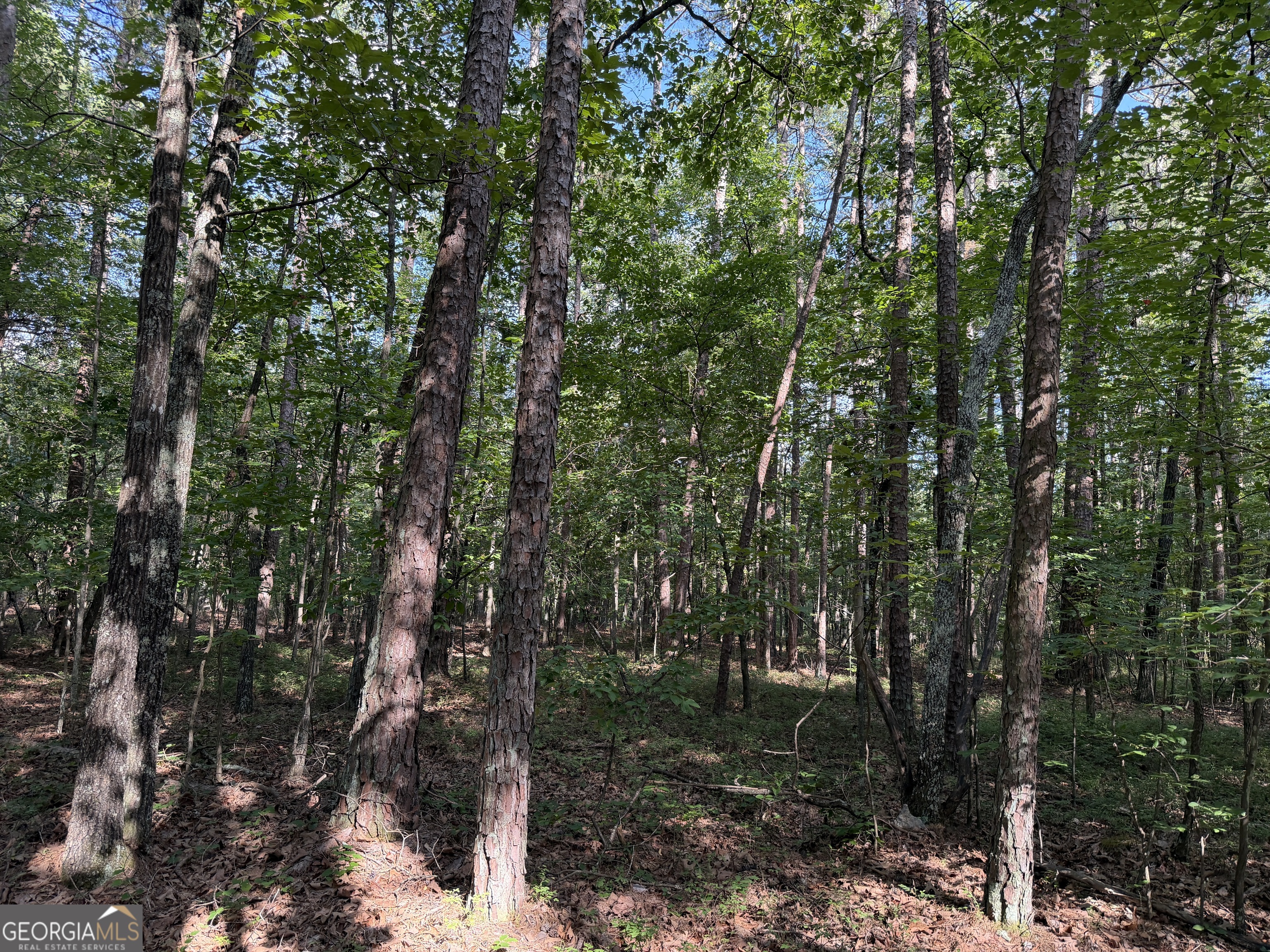 0 Clear Lake Drive Property Photo 4