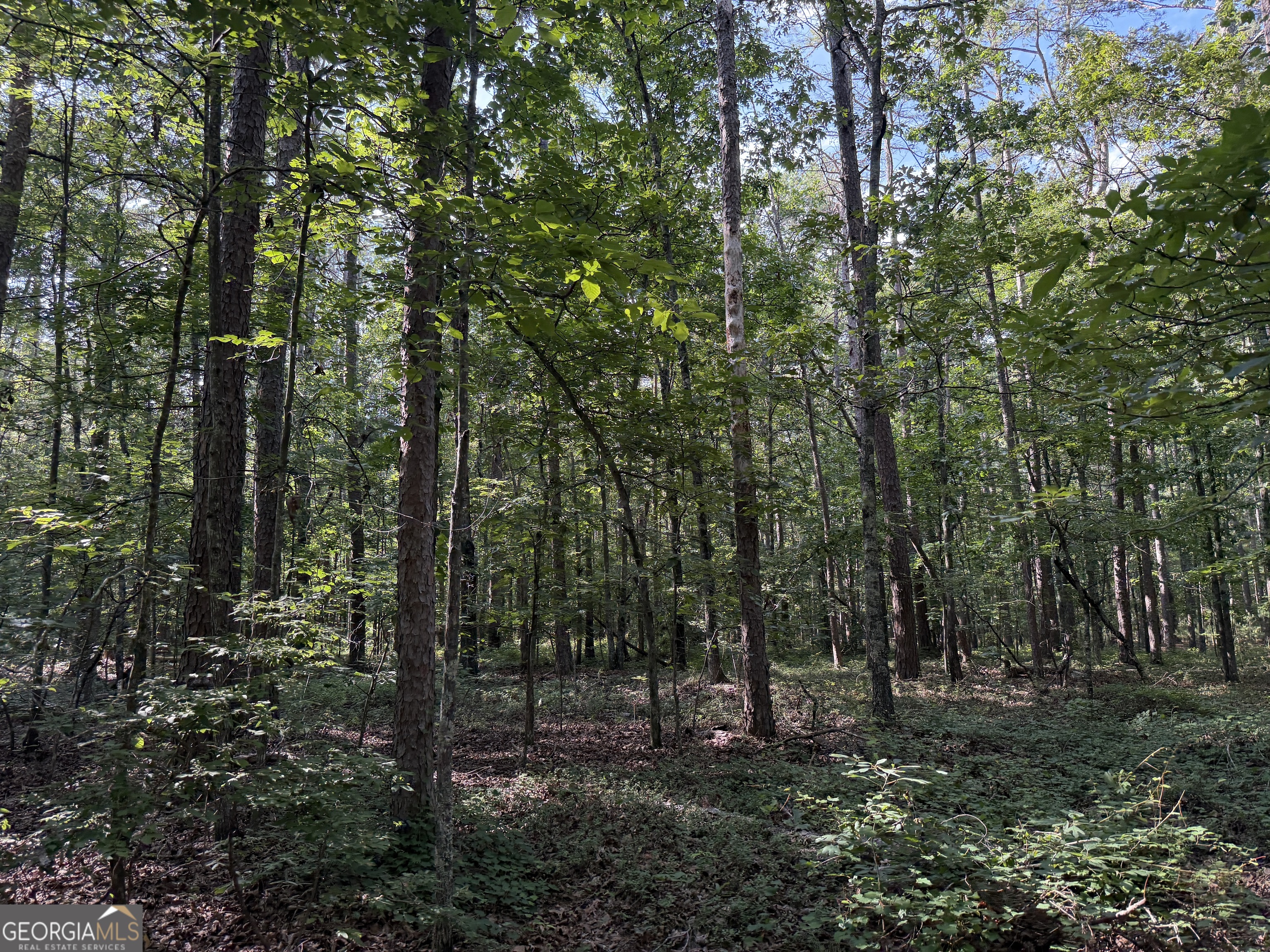 0 Clear Lake Drive Property Photo 5