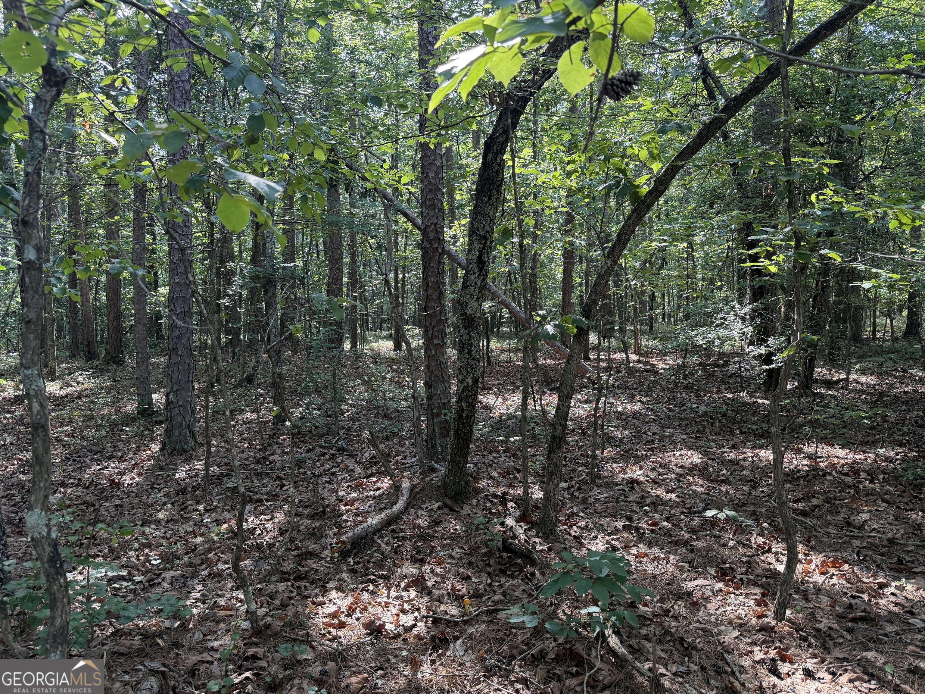 0 Clear Lake Drive Property Photo 8