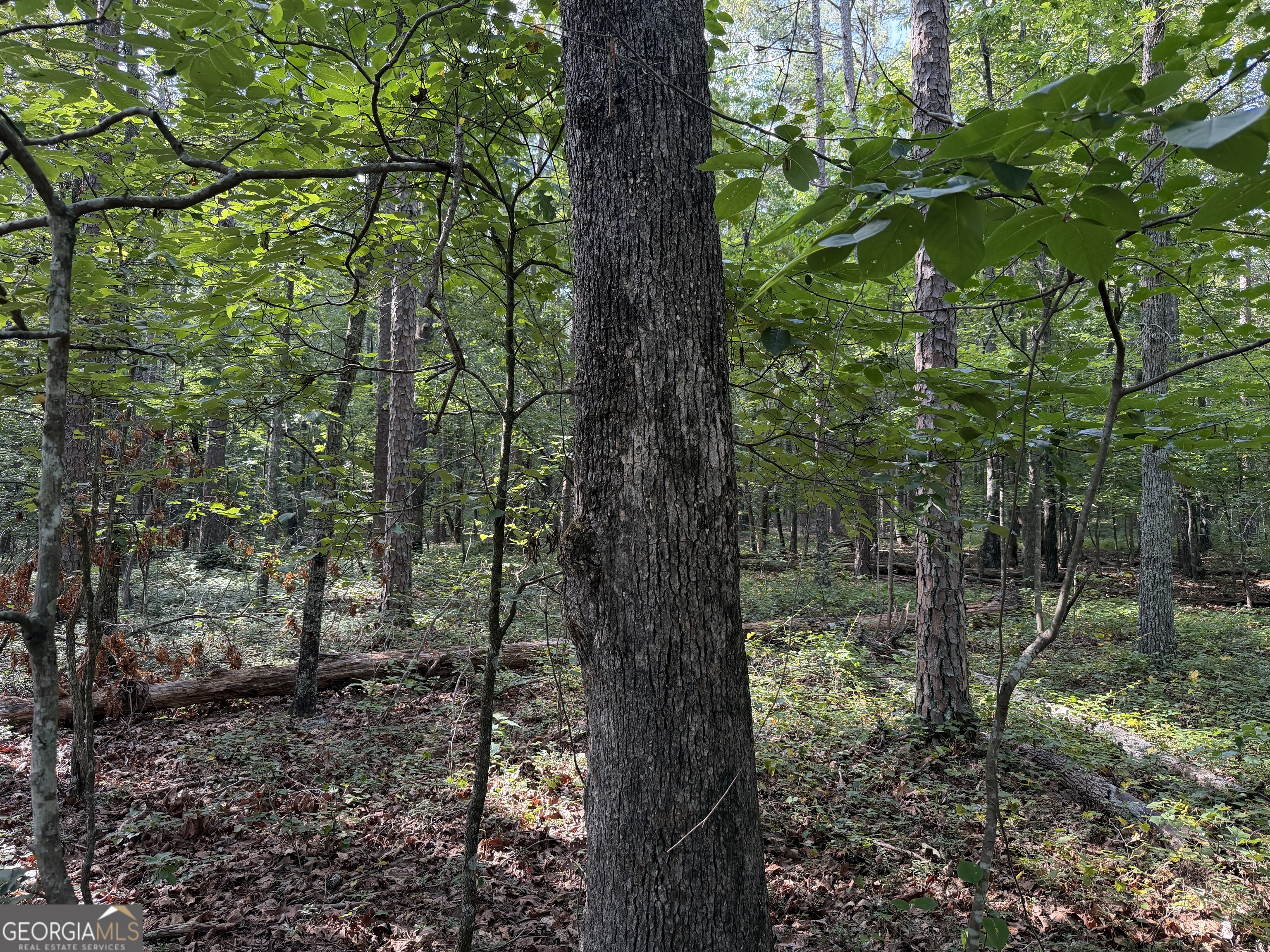 0 Clear Lake Drive Property Photo 9