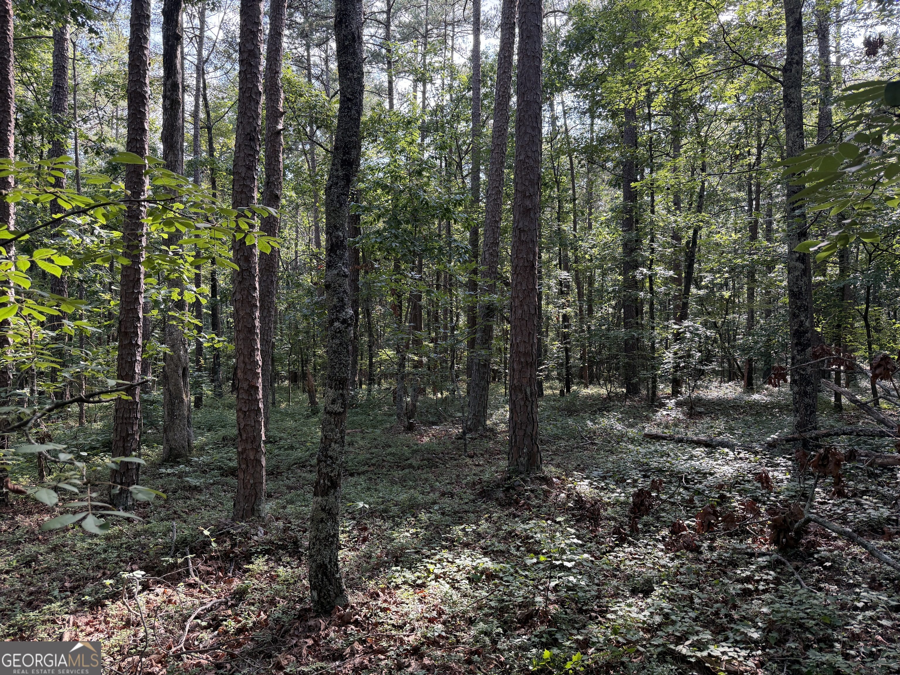 0 Clear Lake Drive Property Photo 10