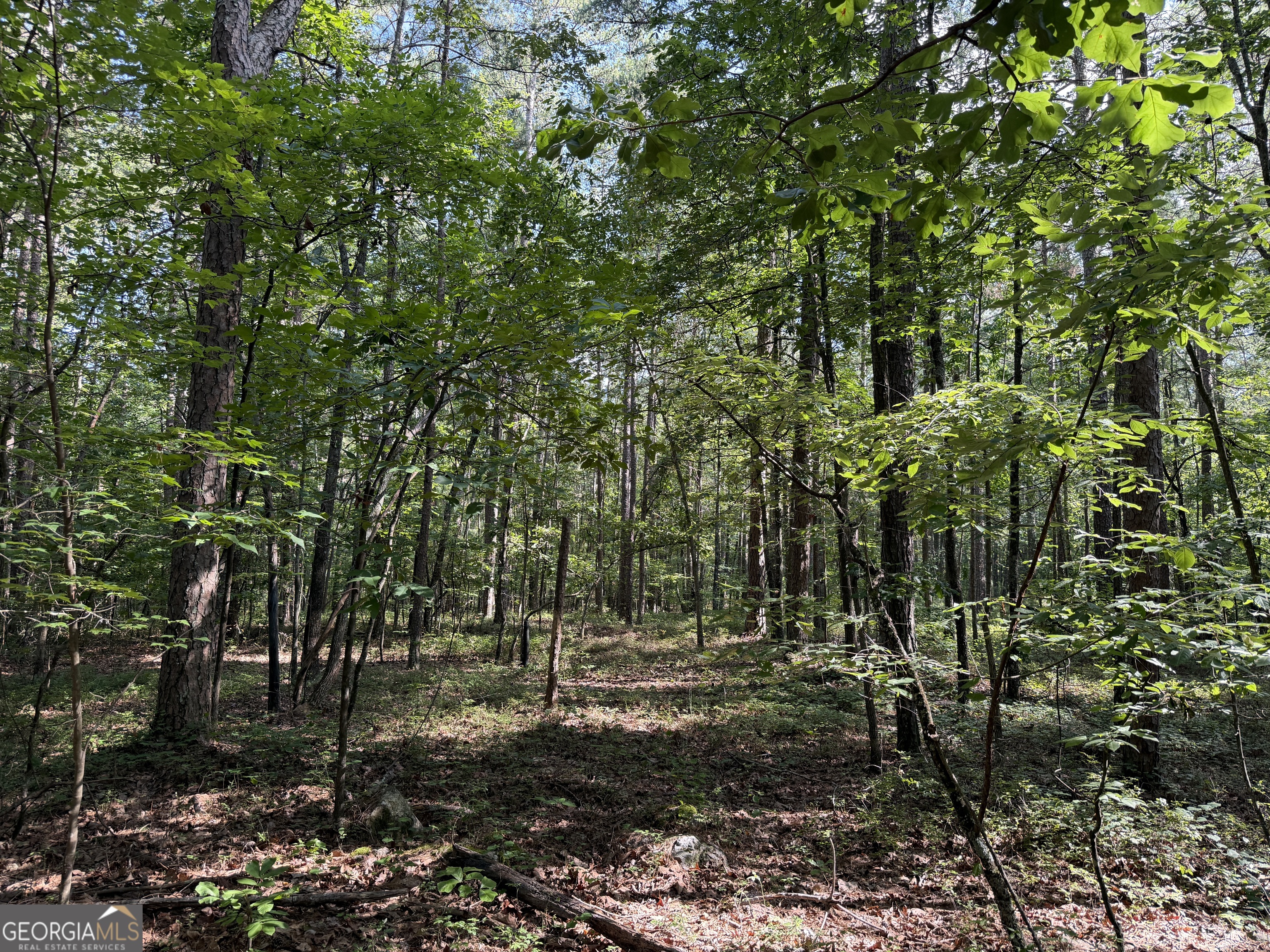 0 Clear Lake Drive Property Photo 12