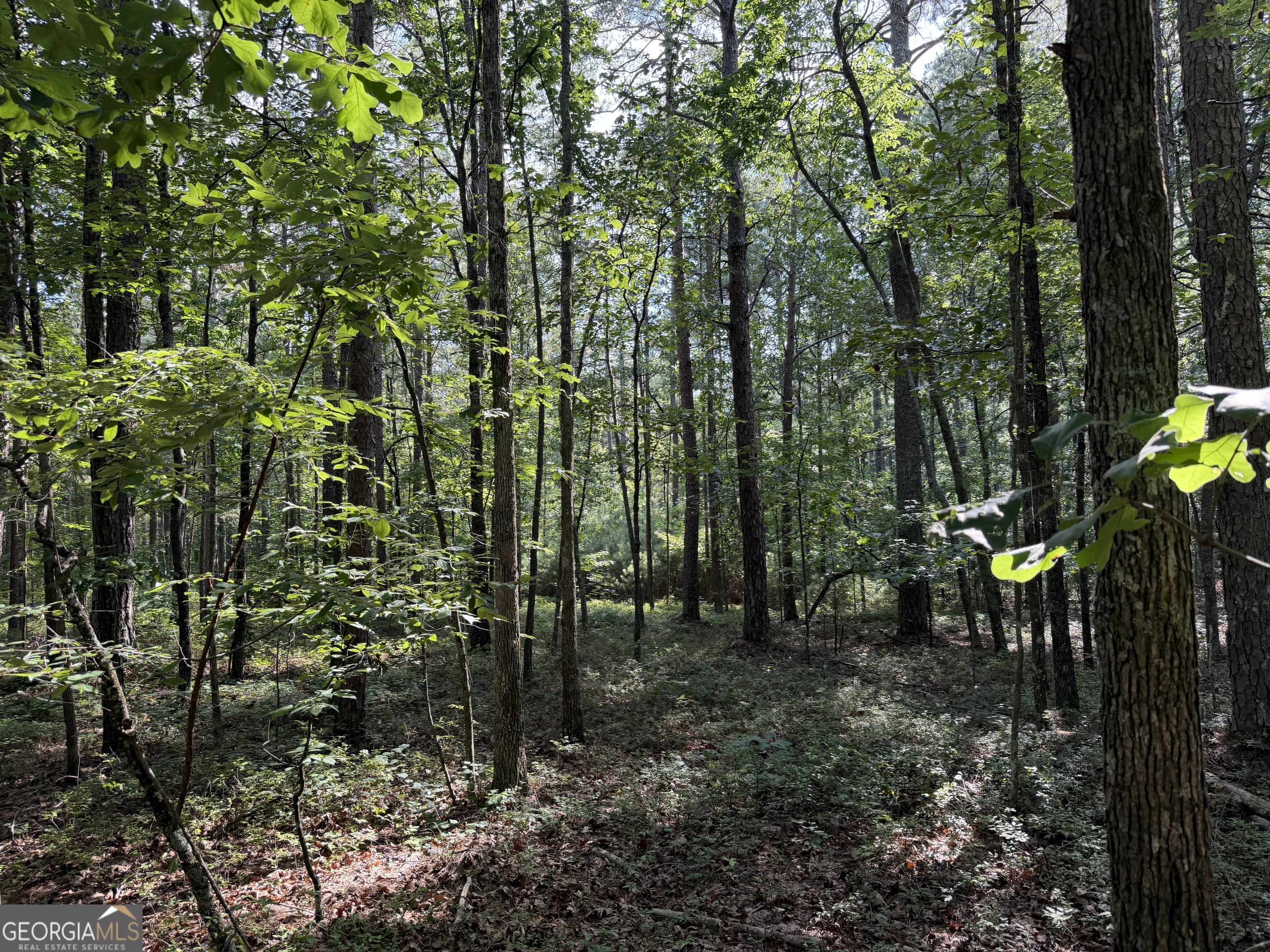 0 Clear Lake Drive Property Photo 13