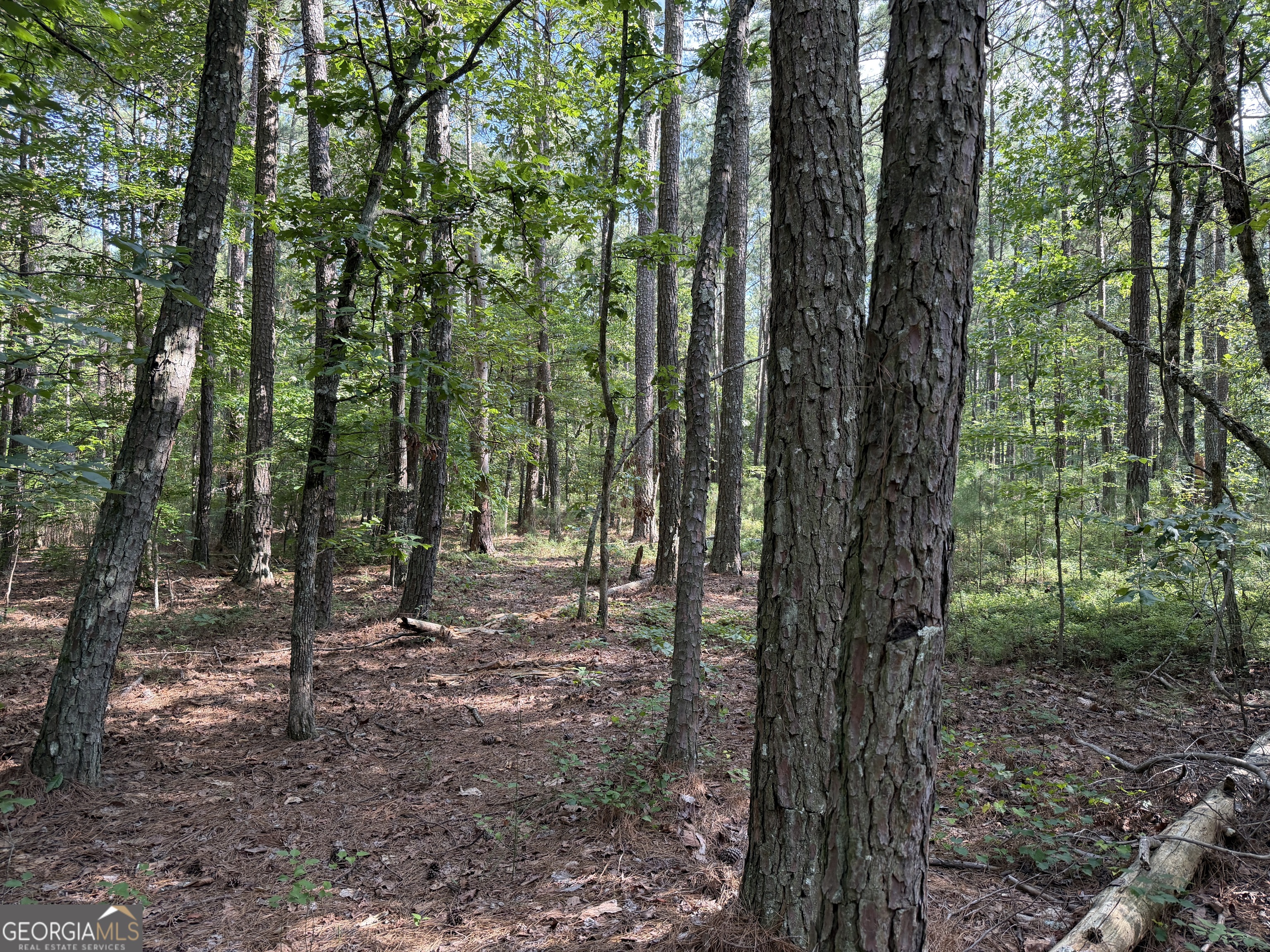 0 Clear Lake Drive Property Photo 14