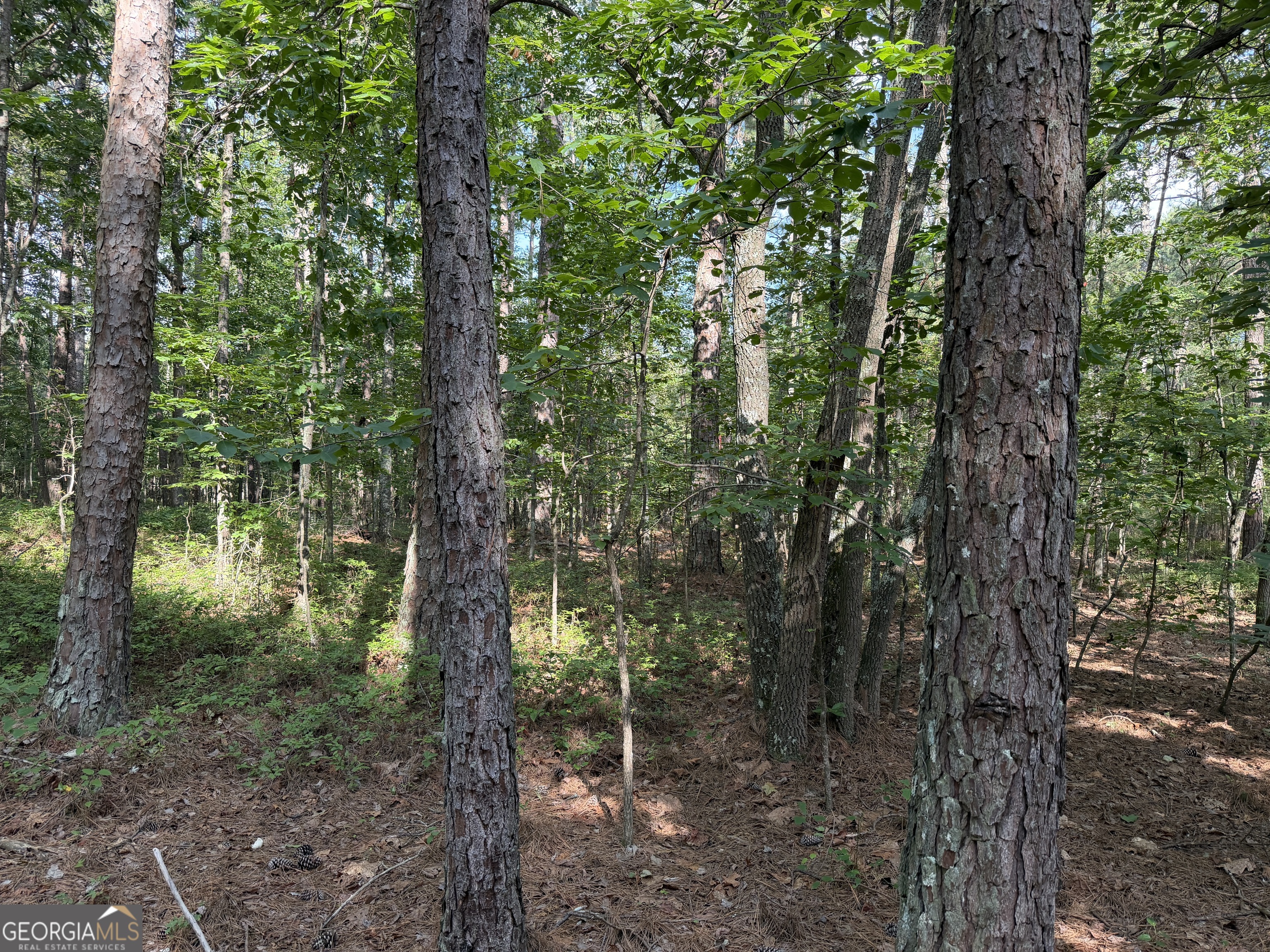 0 Clear Lake Drive Property Photo 15