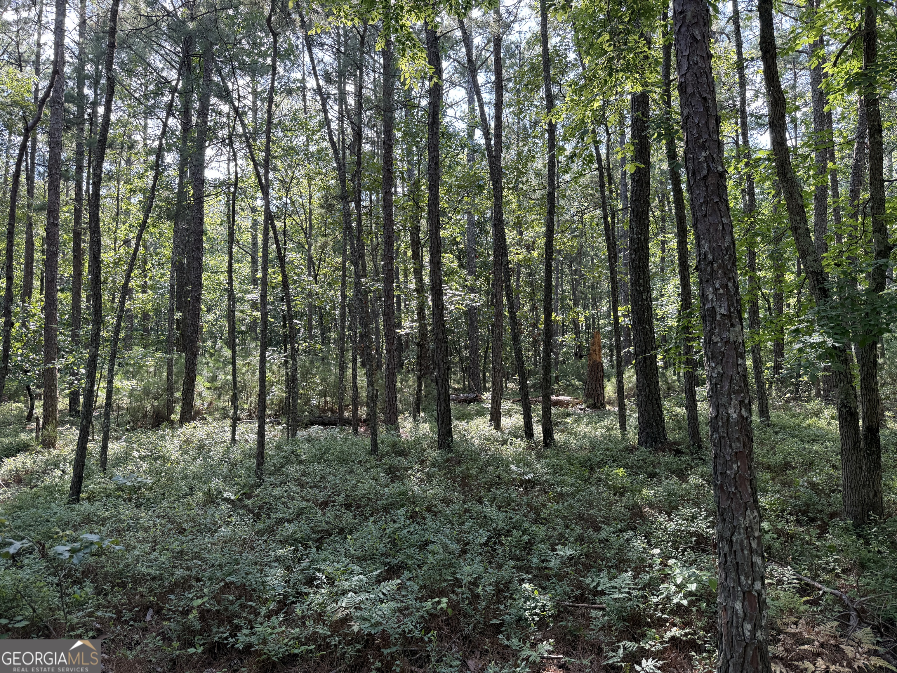 0 Clear Lake Drive Property Photo 16