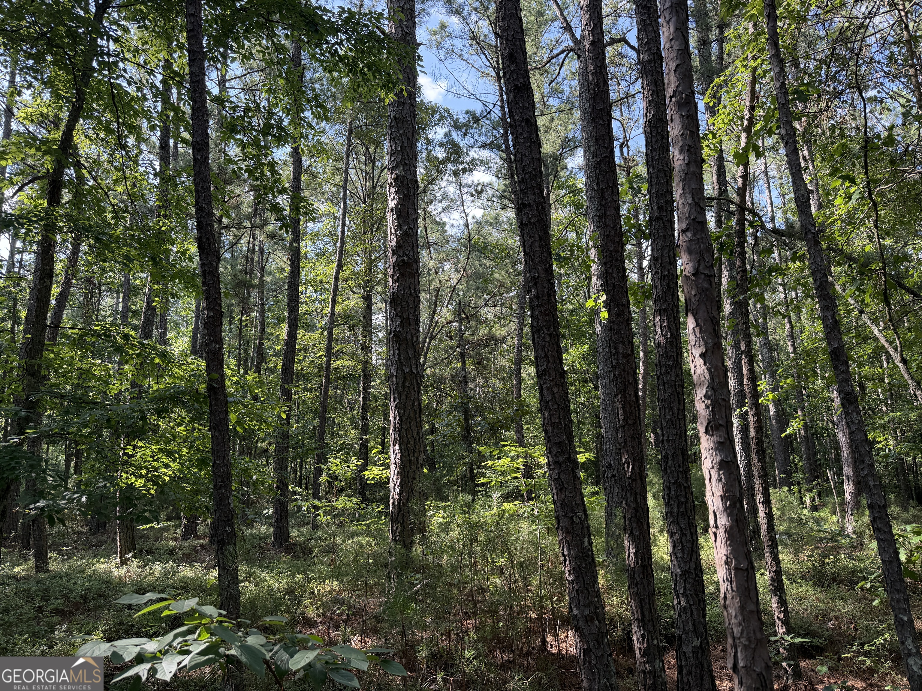 0 Clear Lake Drive Property Photo 17