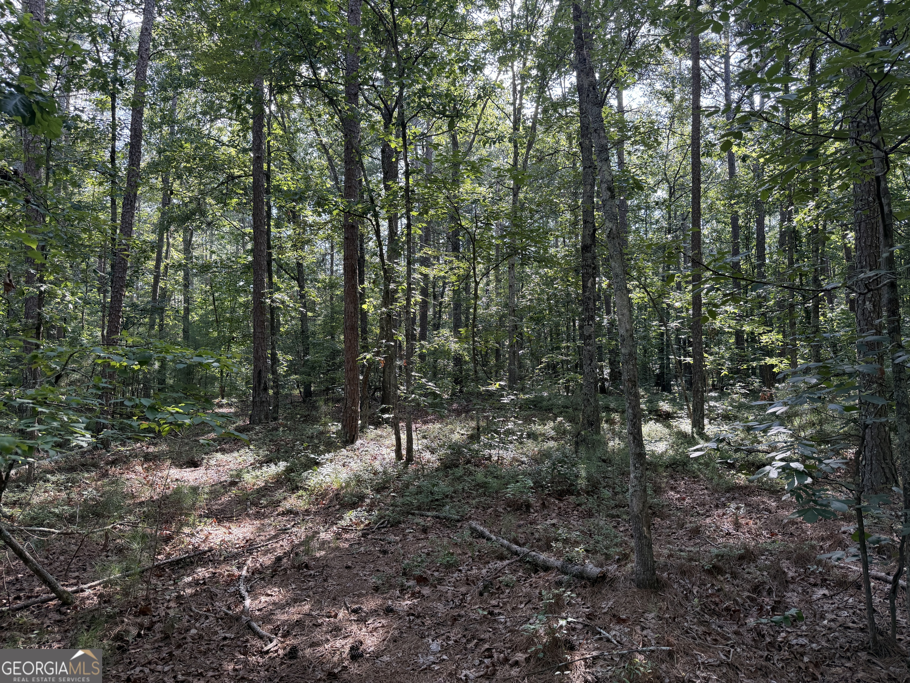 0 Clear Lake Drive Property Photo 18