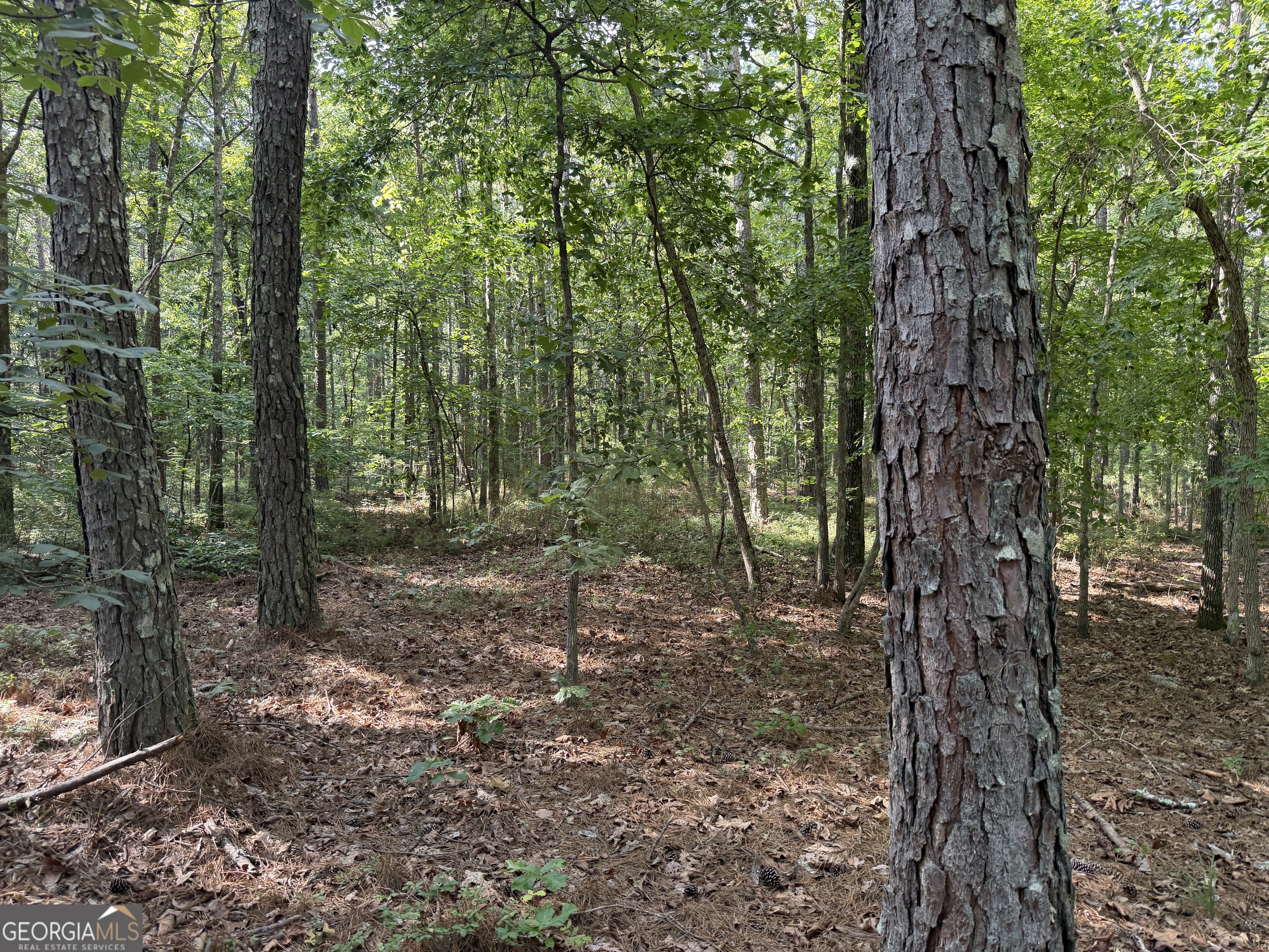 0 Clear Lake Drive Property Photo 19