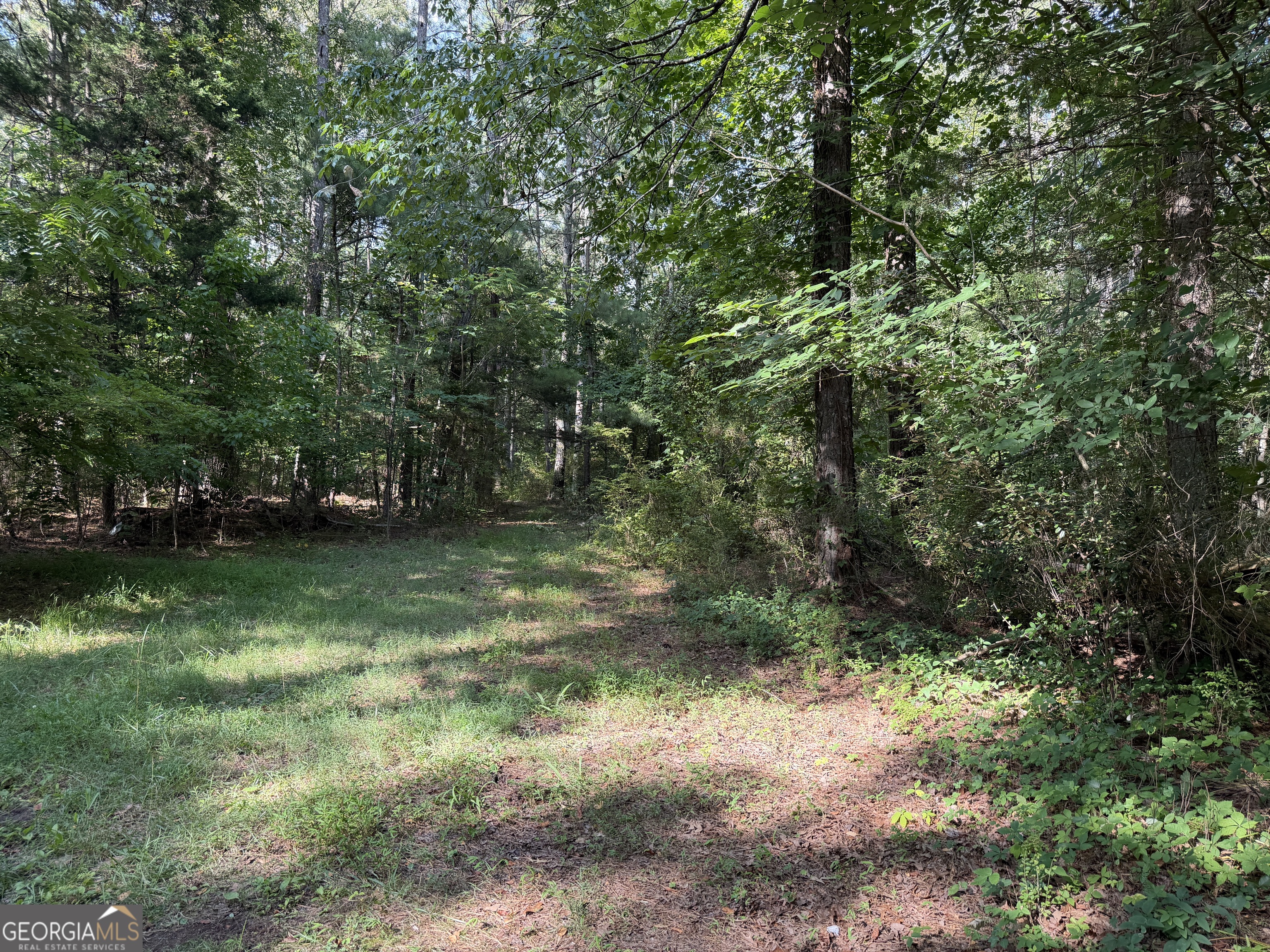 0 Clear Lake Drive Property Photo 21