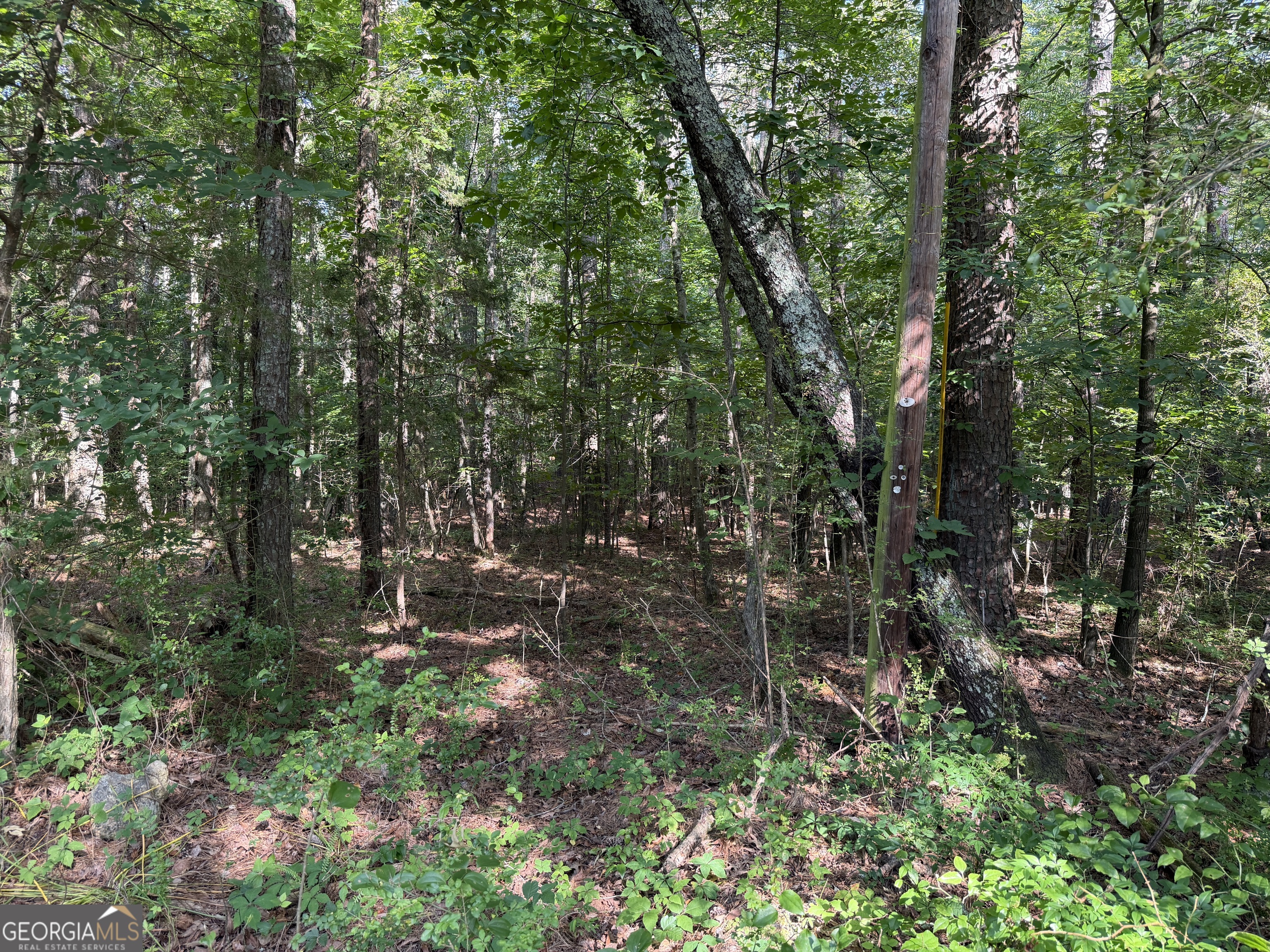 0 Clear Lake Drive Property Photo 22