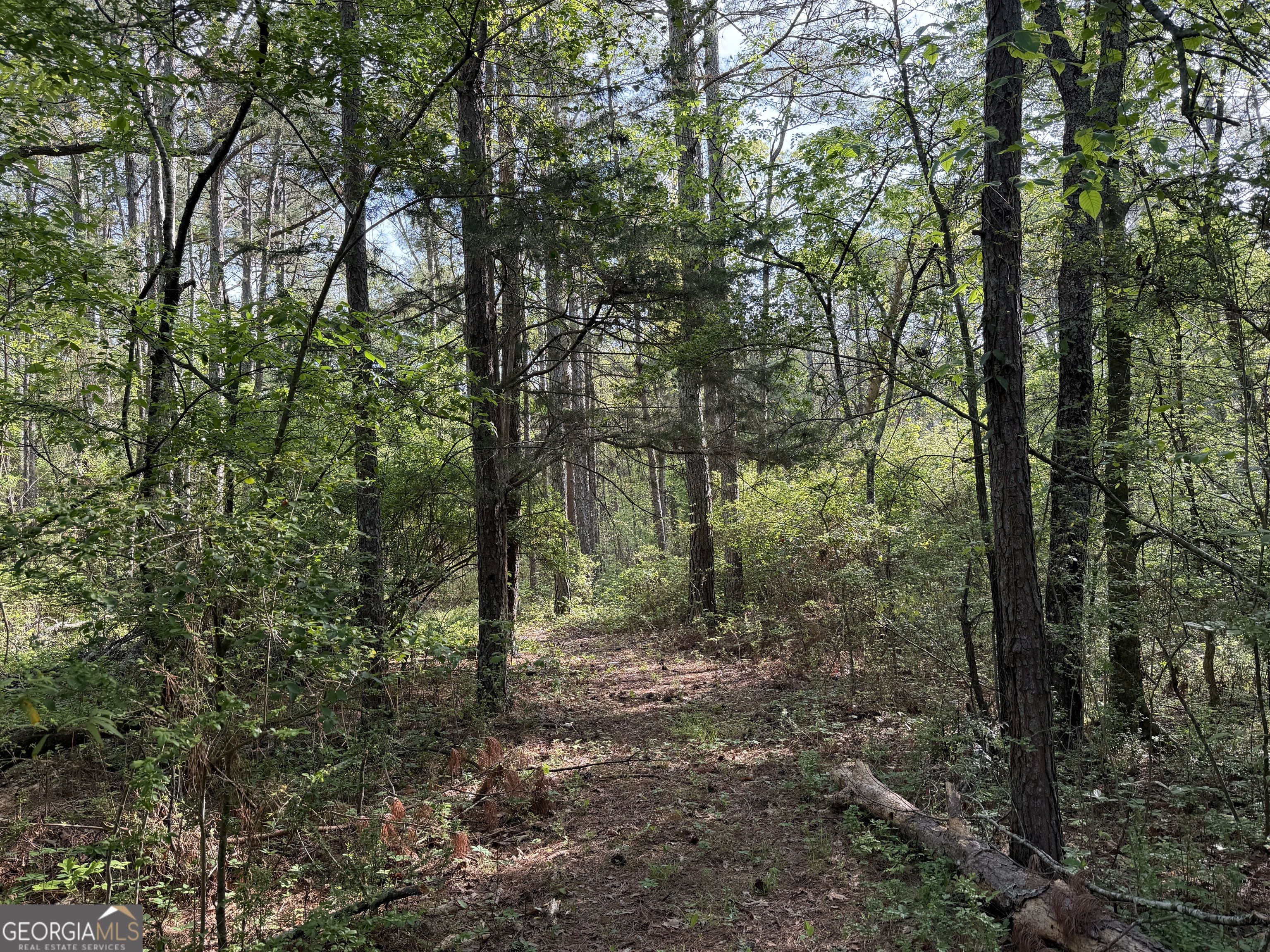 0 Clear Lake Drive Property Photo 23