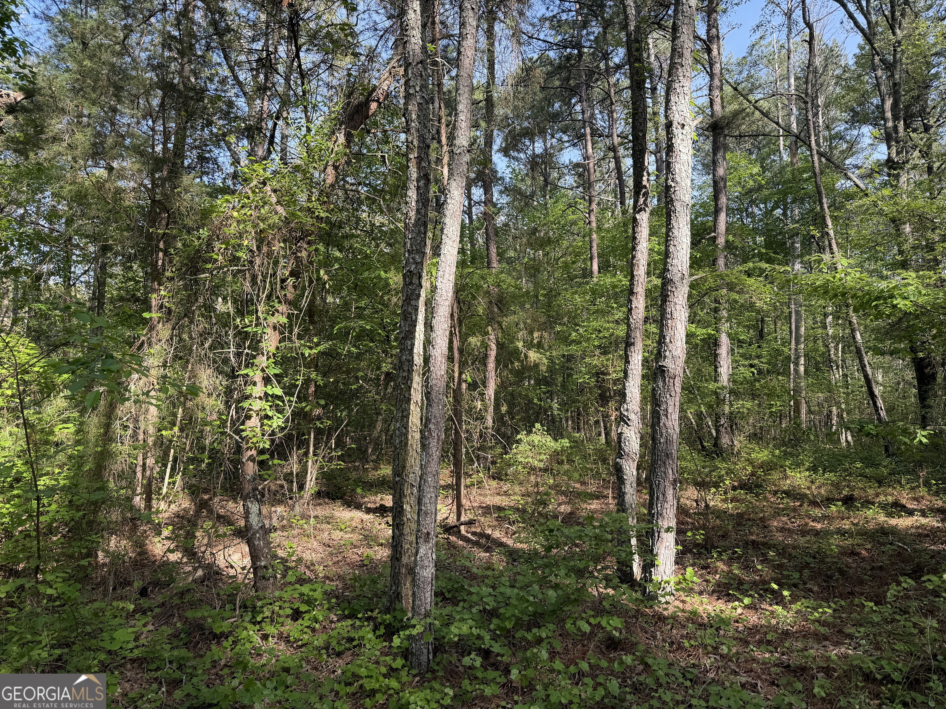 0 Clear Lake Drive Property Photo 24