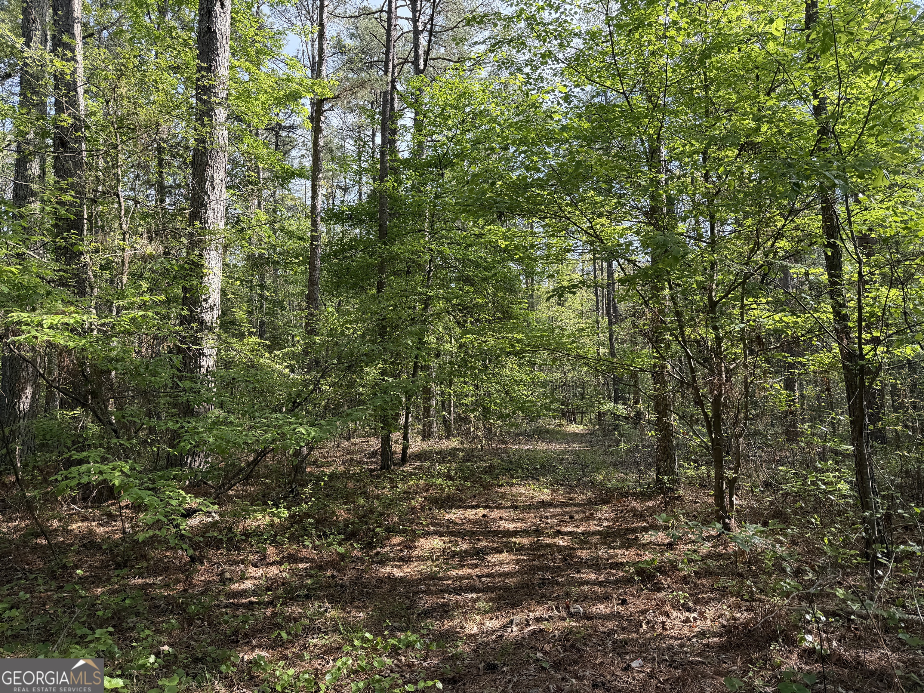 0 Clear Lake Drive Property Photo 25