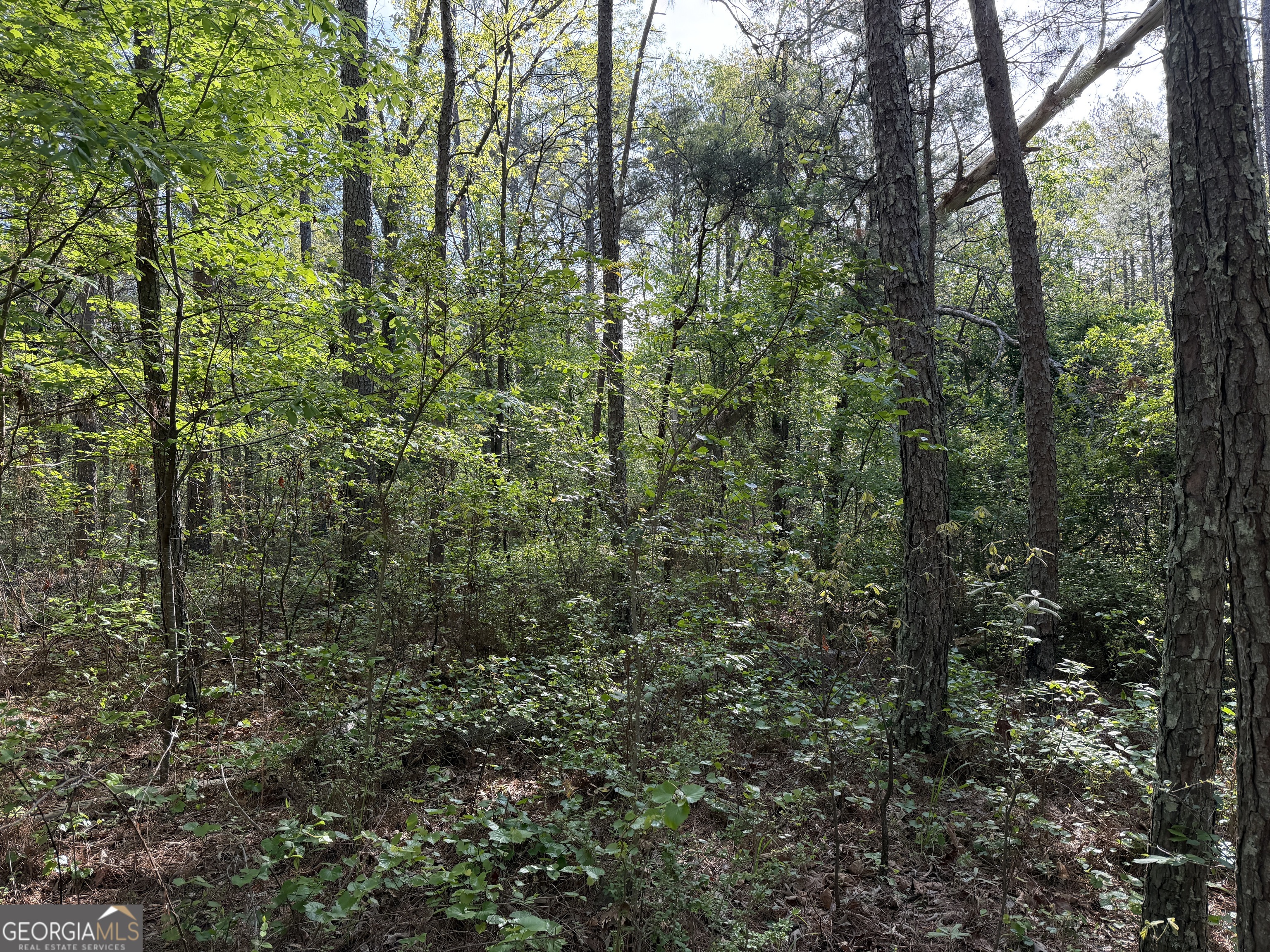 0 Clear Lake Drive Property Photo 26