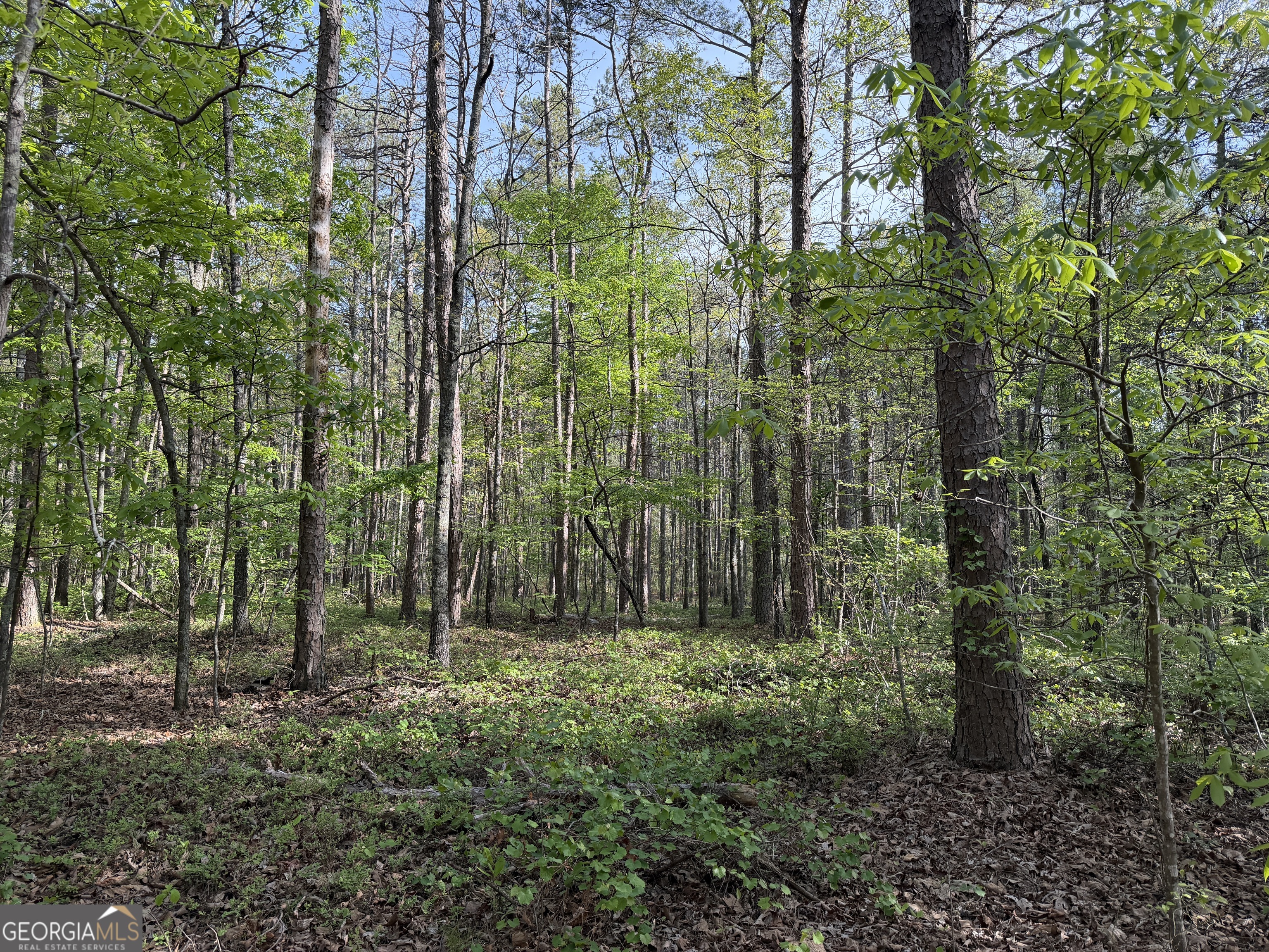 0 Clear Lake Drive Property Photo 27