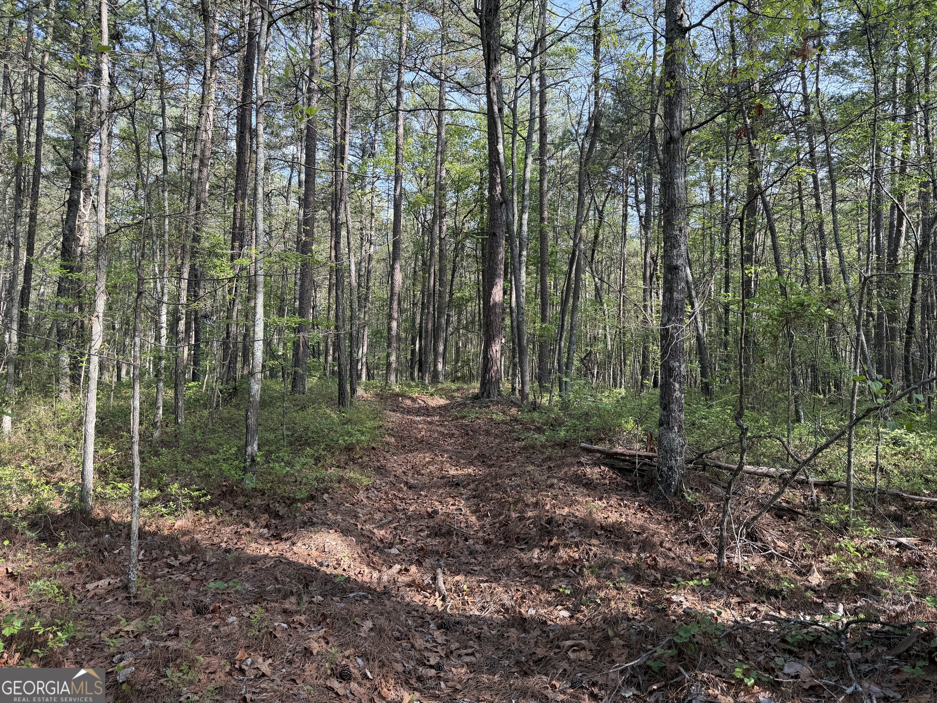 0 Clear Lake Drive Property Photo 30