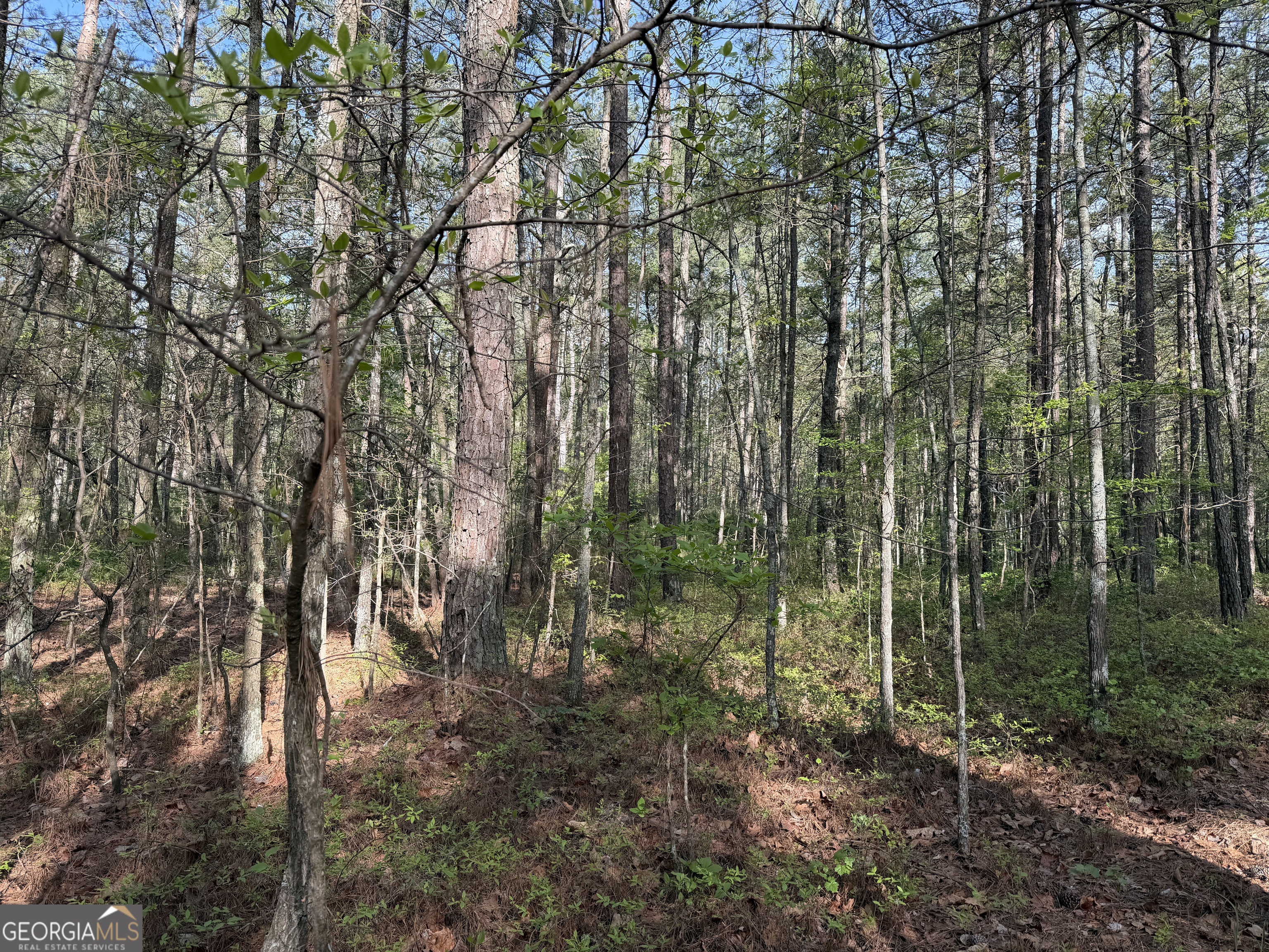0 Clear Lake Drive Property Photo 31