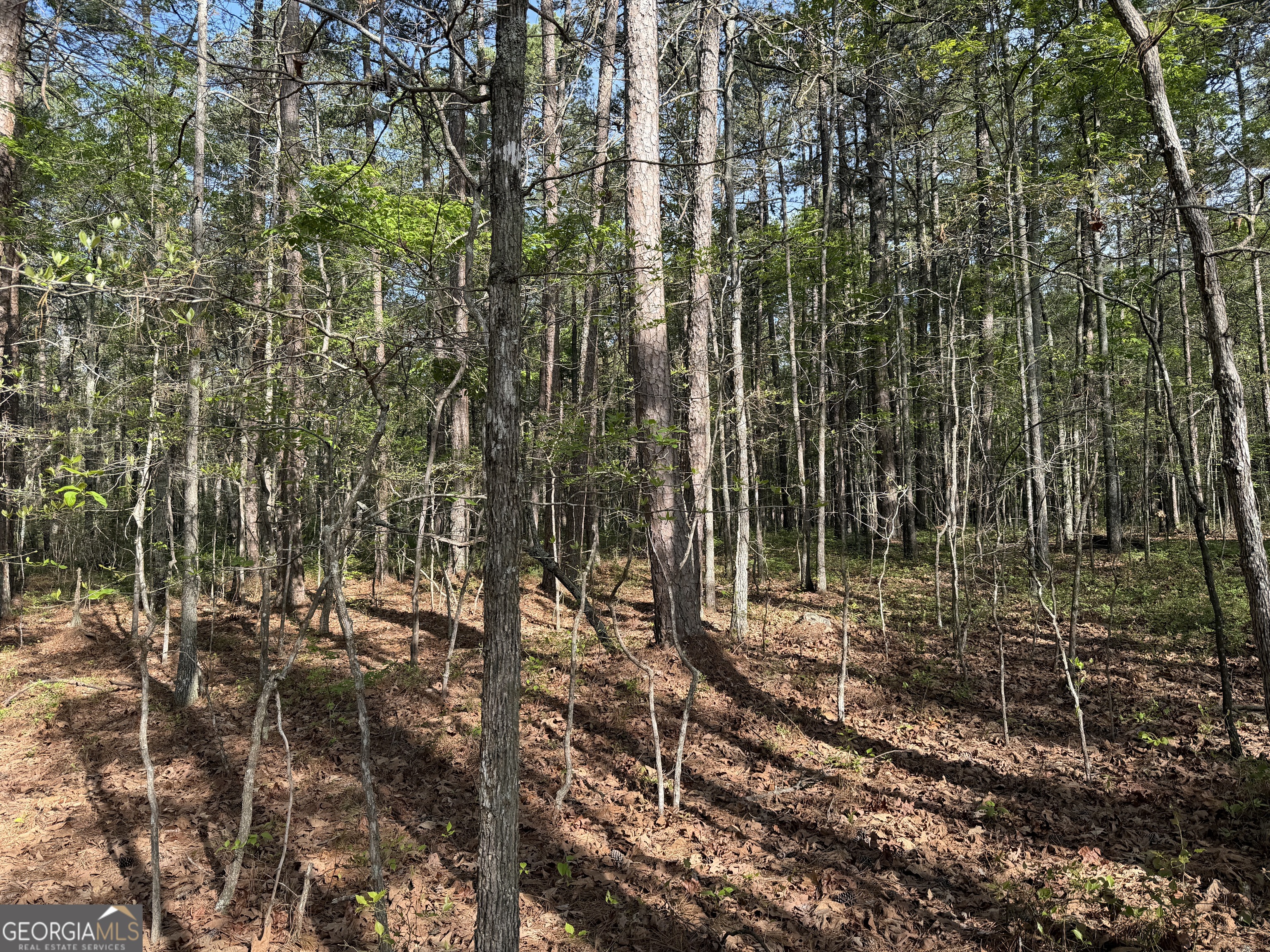 0 Clear Lake Drive Property Photo 32