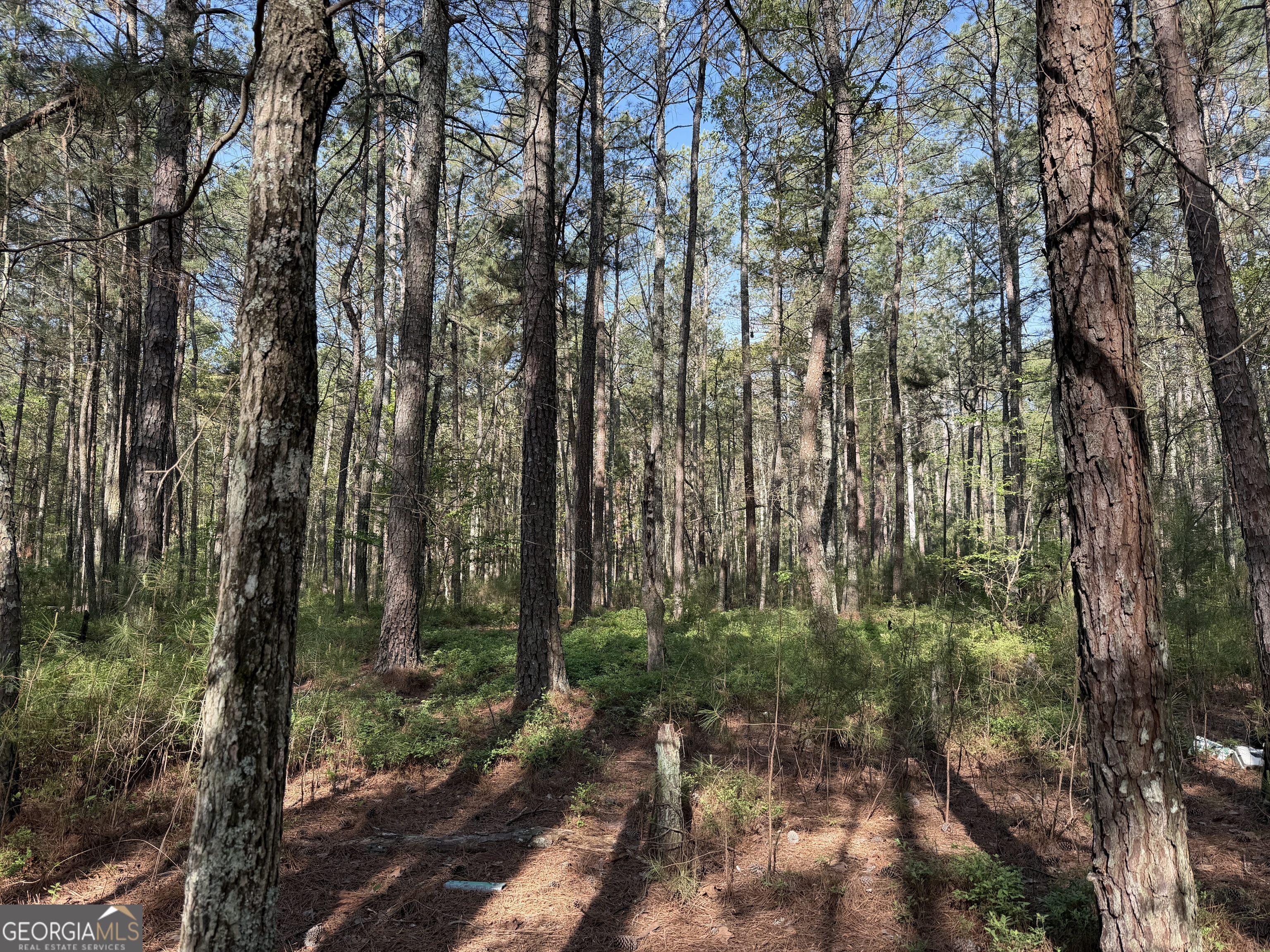 0 Clear Lake Drive Property Photo 33