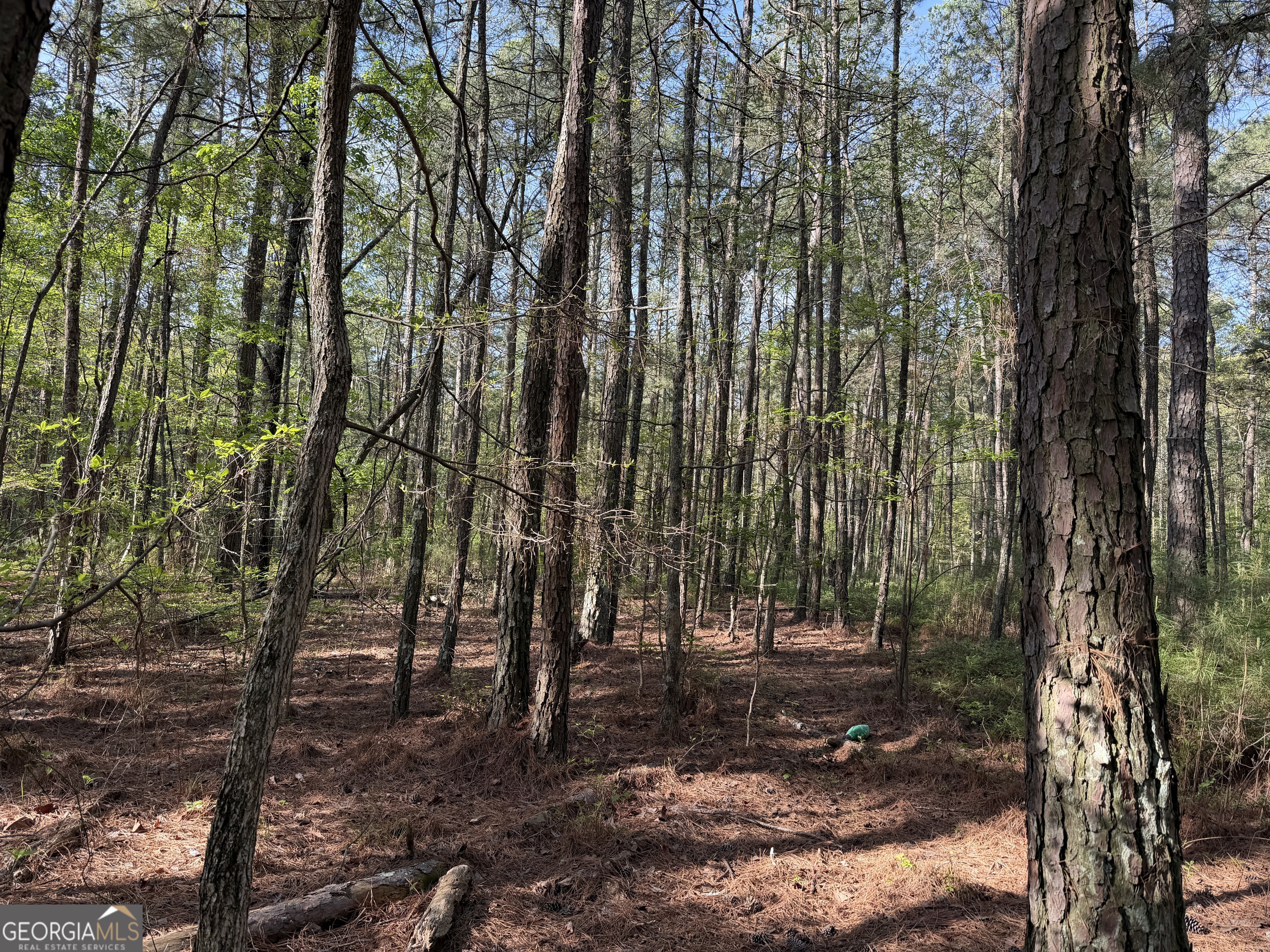 0 Clear Lake Drive Property Photo 34