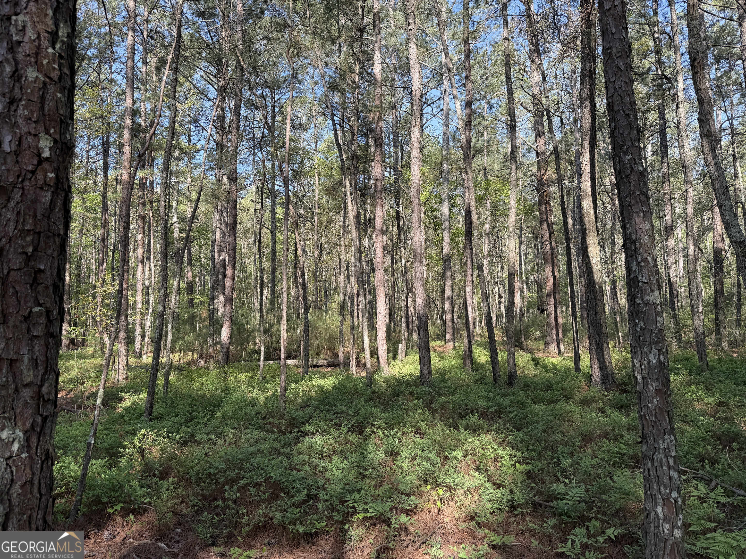 0 Clear Lake Drive Property Photo 35