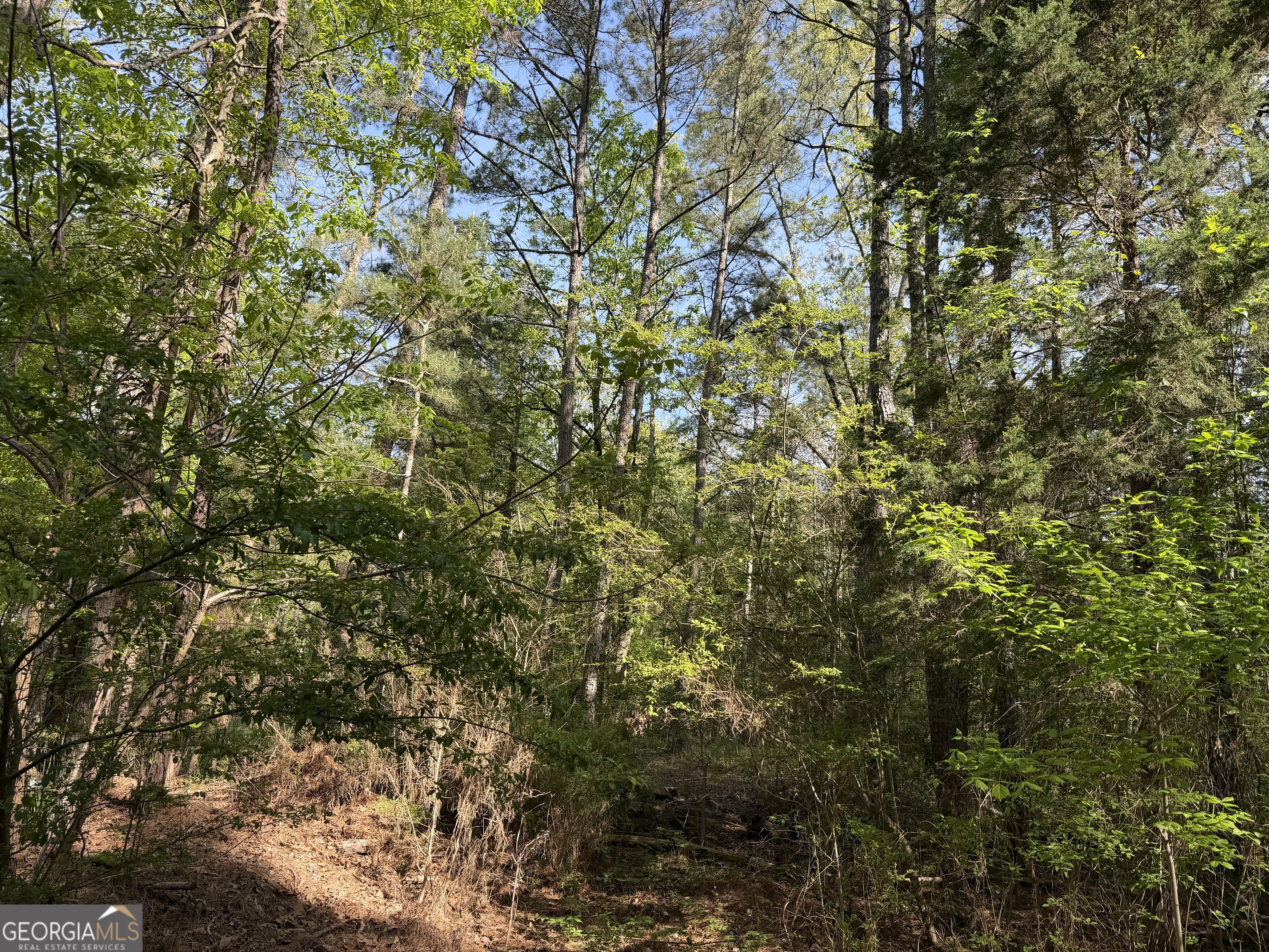 0 Clear Lake Drive Property Photo 36