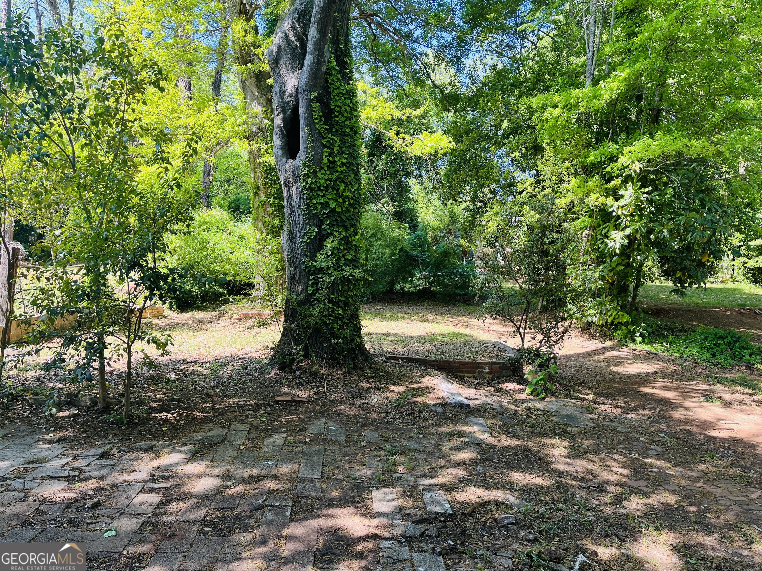 410 Alford Street Property Photo 19
