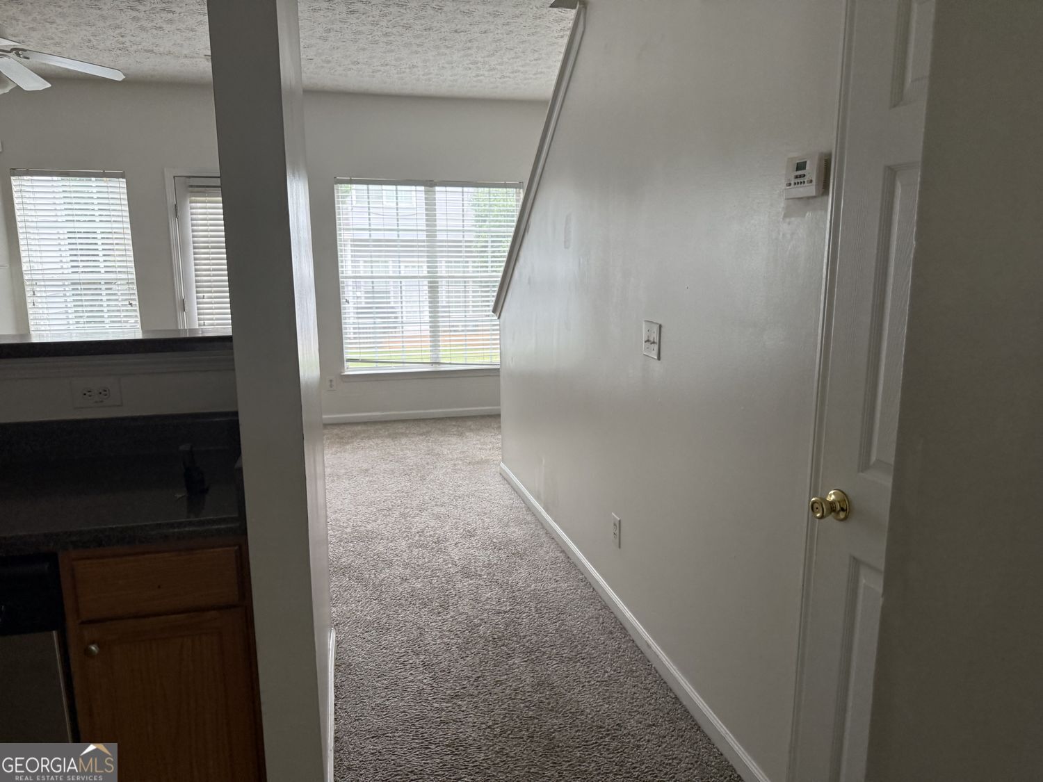 2502 Walden Lake Drive Property Photo 16