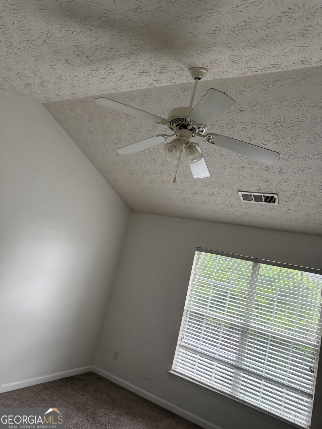 2502 Walden Lake Drive Property Photo 28