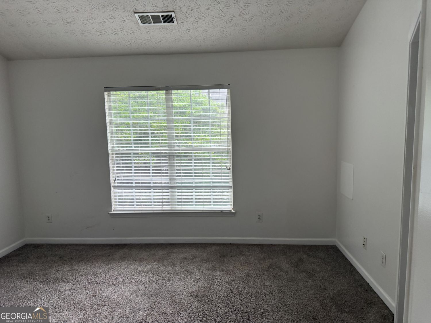 2502 Walden Lake Drive Property Photo 29