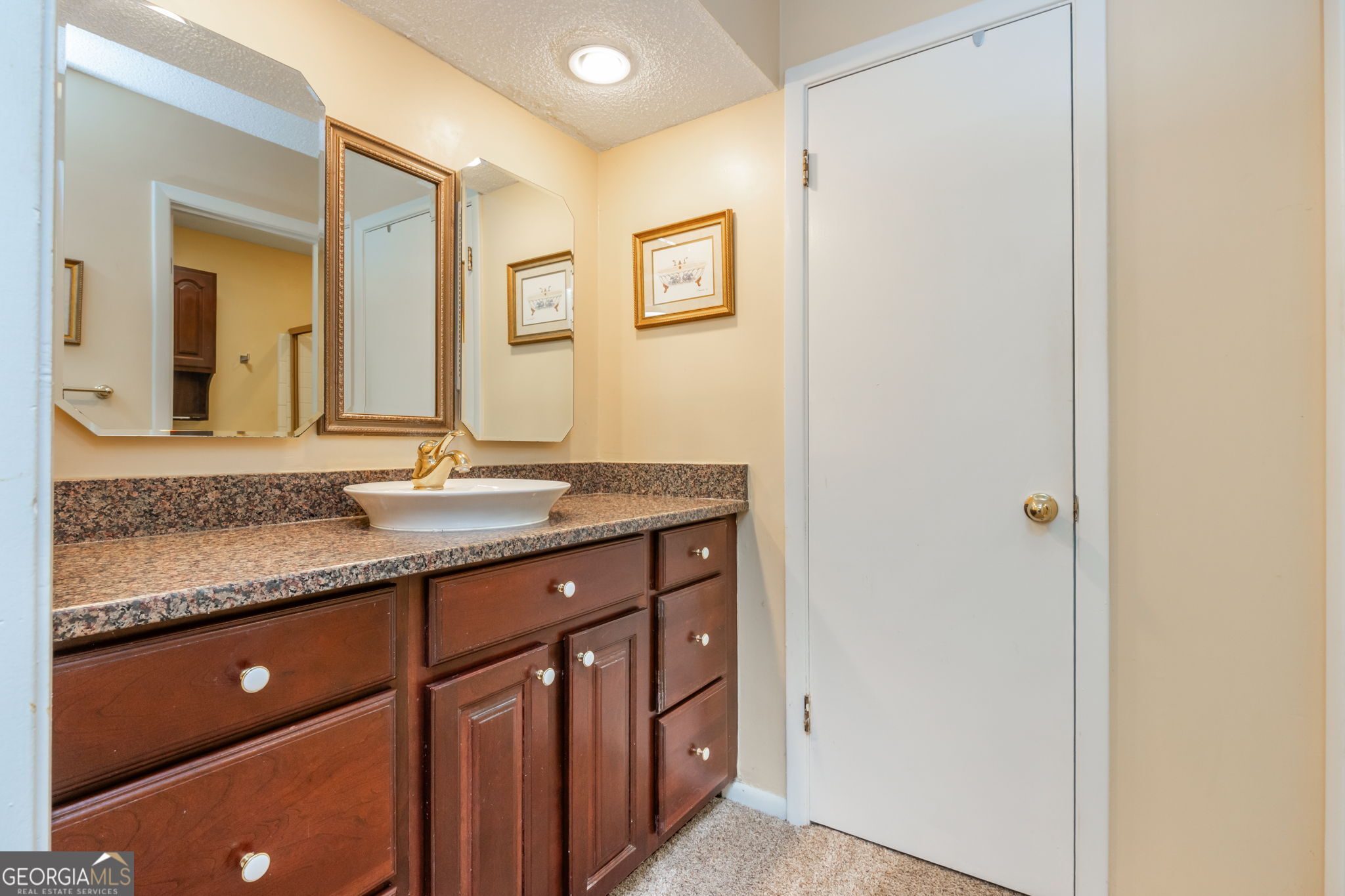 2805 Burtz Drive Property Photo 39
