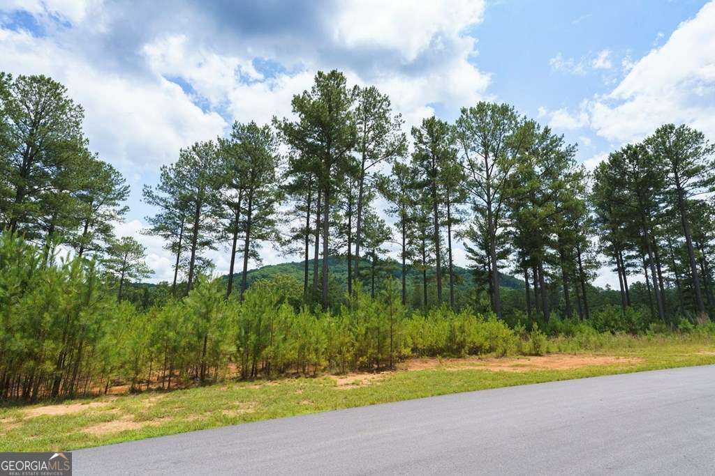 Lot 343 Loop Lane Property Photo 3