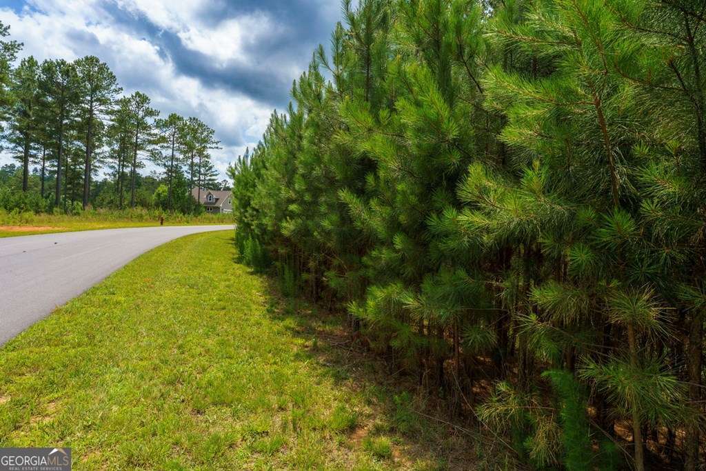 Lot 343 Loop Lane Property Photo 7