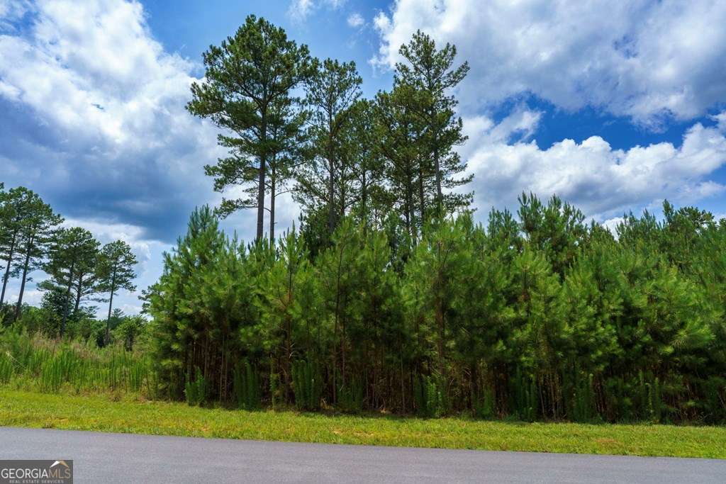 Lot 343 Loop Lane Property Photo 9