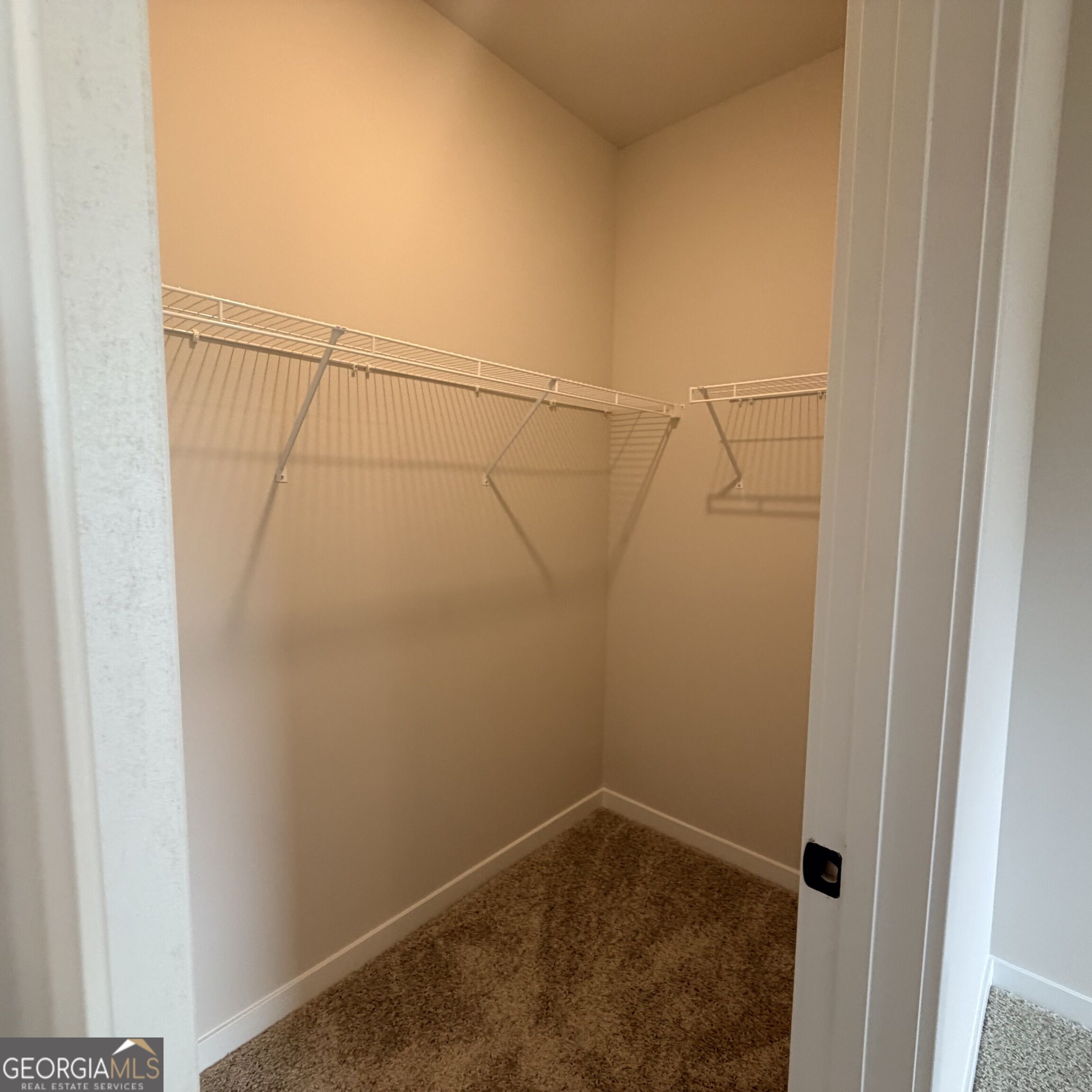 42 Piney Grove Court Property Photo 8