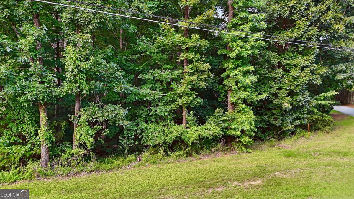 50 Sims Road Property Photo 3