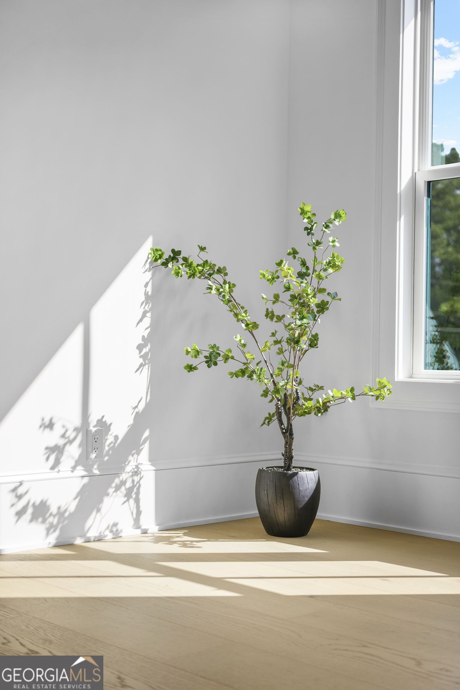 2376 Wall Road Property Photo 65