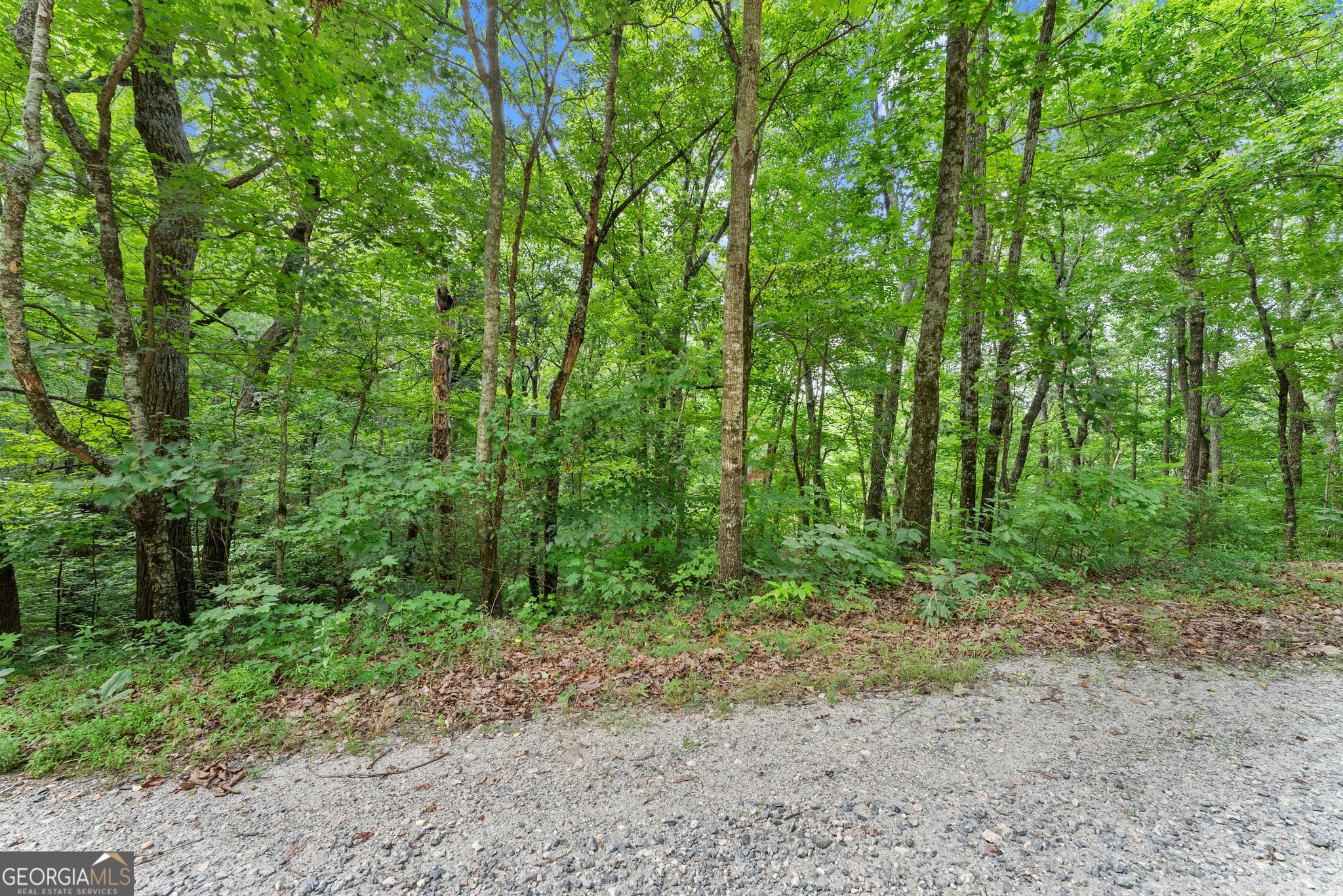 0 Wauka Ridge Road Property Photo 4
