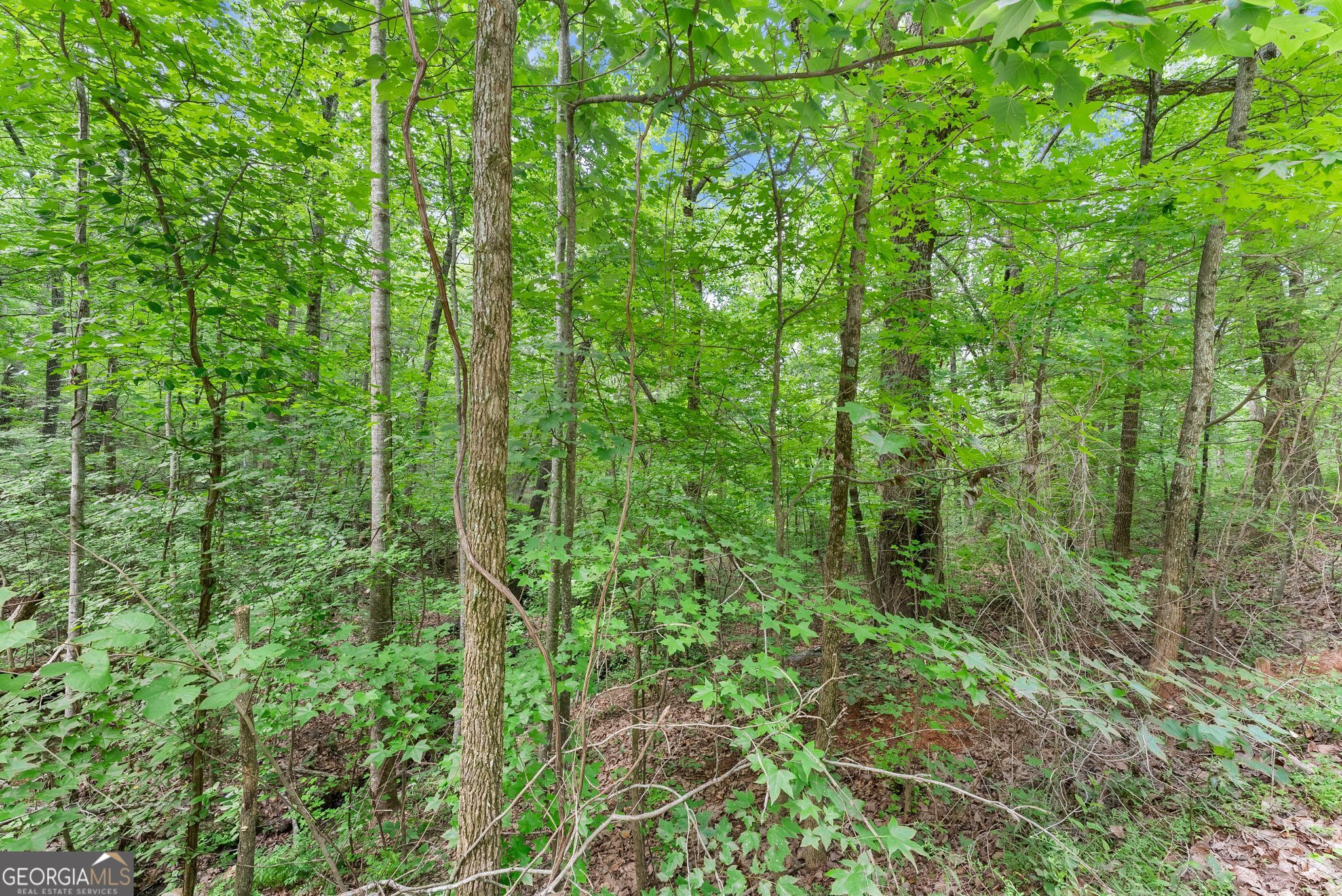 0 Wauka Ridge Road Property Photo 6