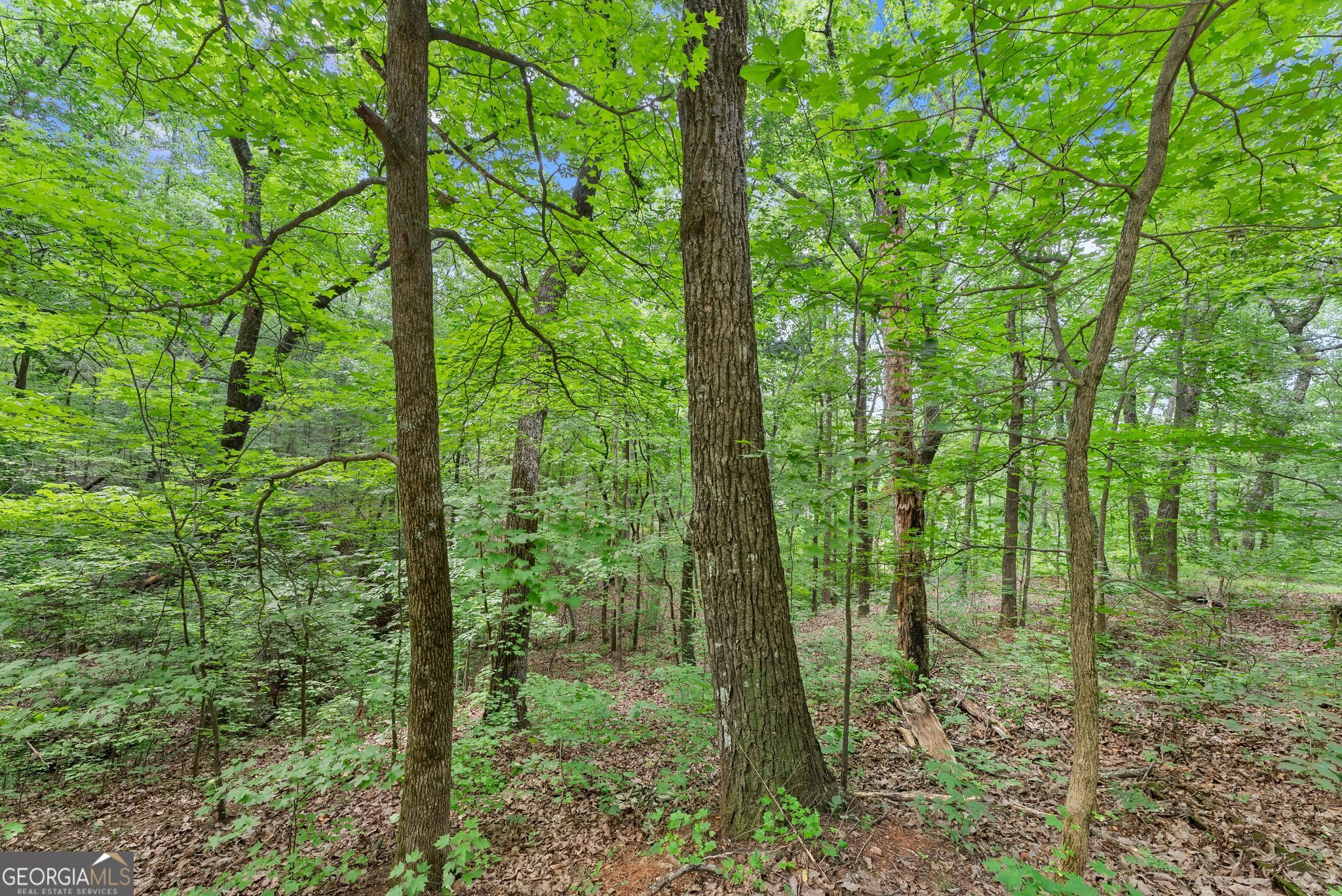 0 Wauka Ridge Road Property Photo 7