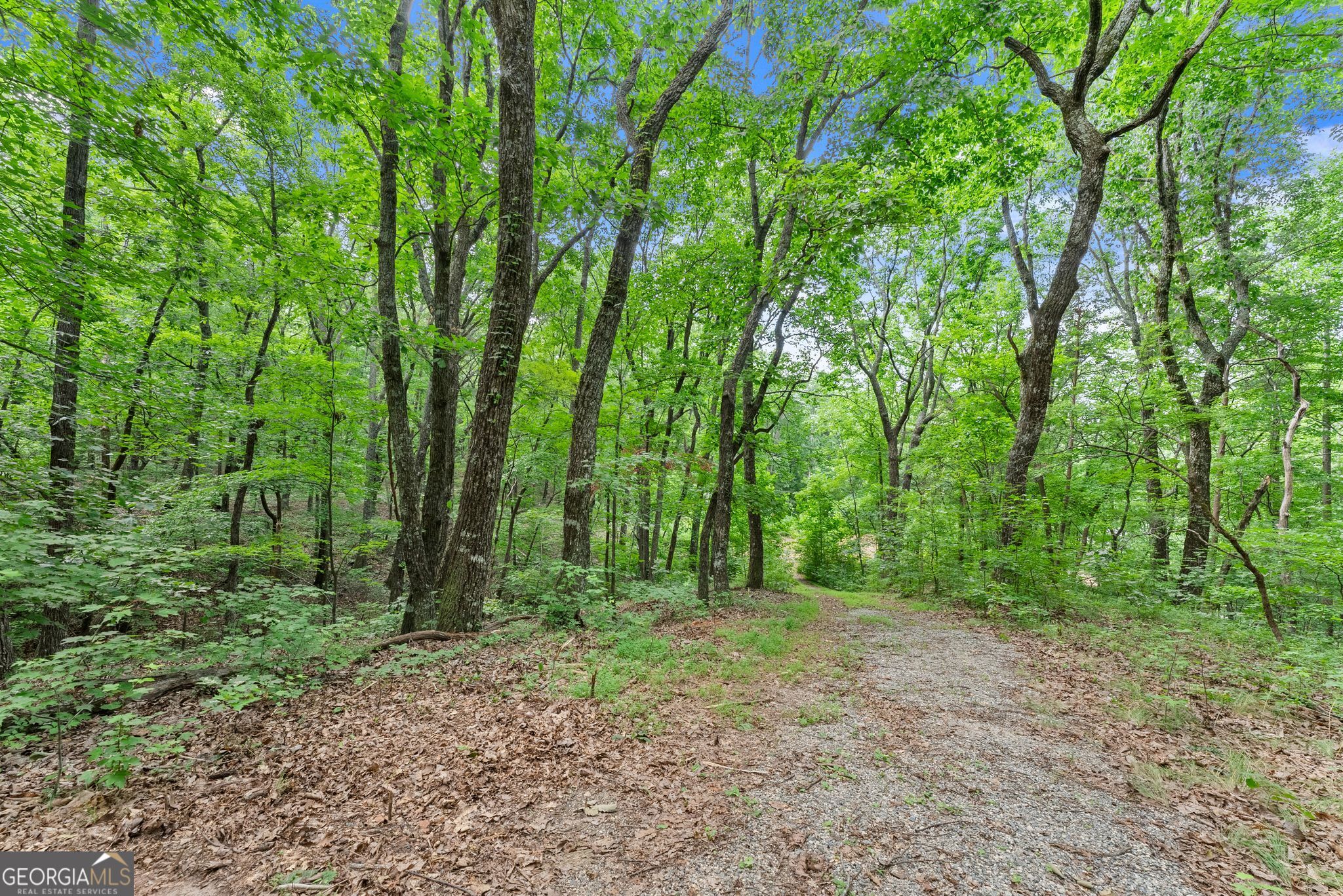 0 Wauka Ridge Road Property Photo 8