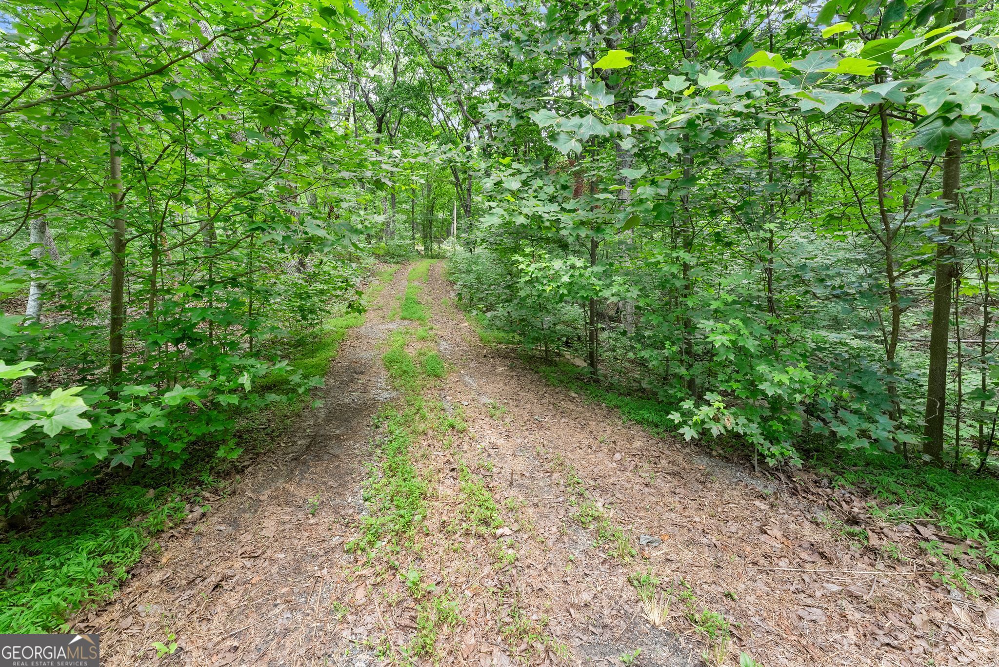 0 Wauka Ridge Road Property Photo 12