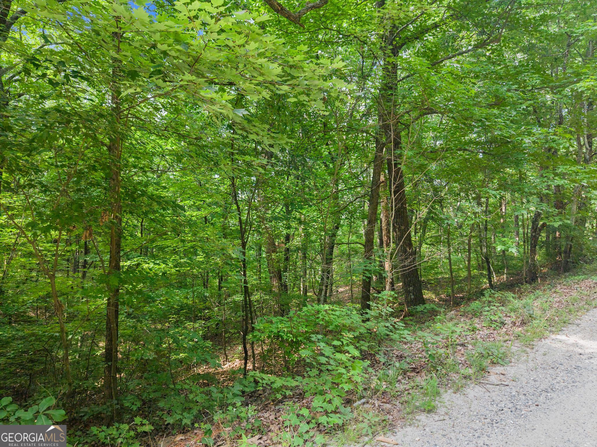 0 Wauka Ridge Road Property Photo 16