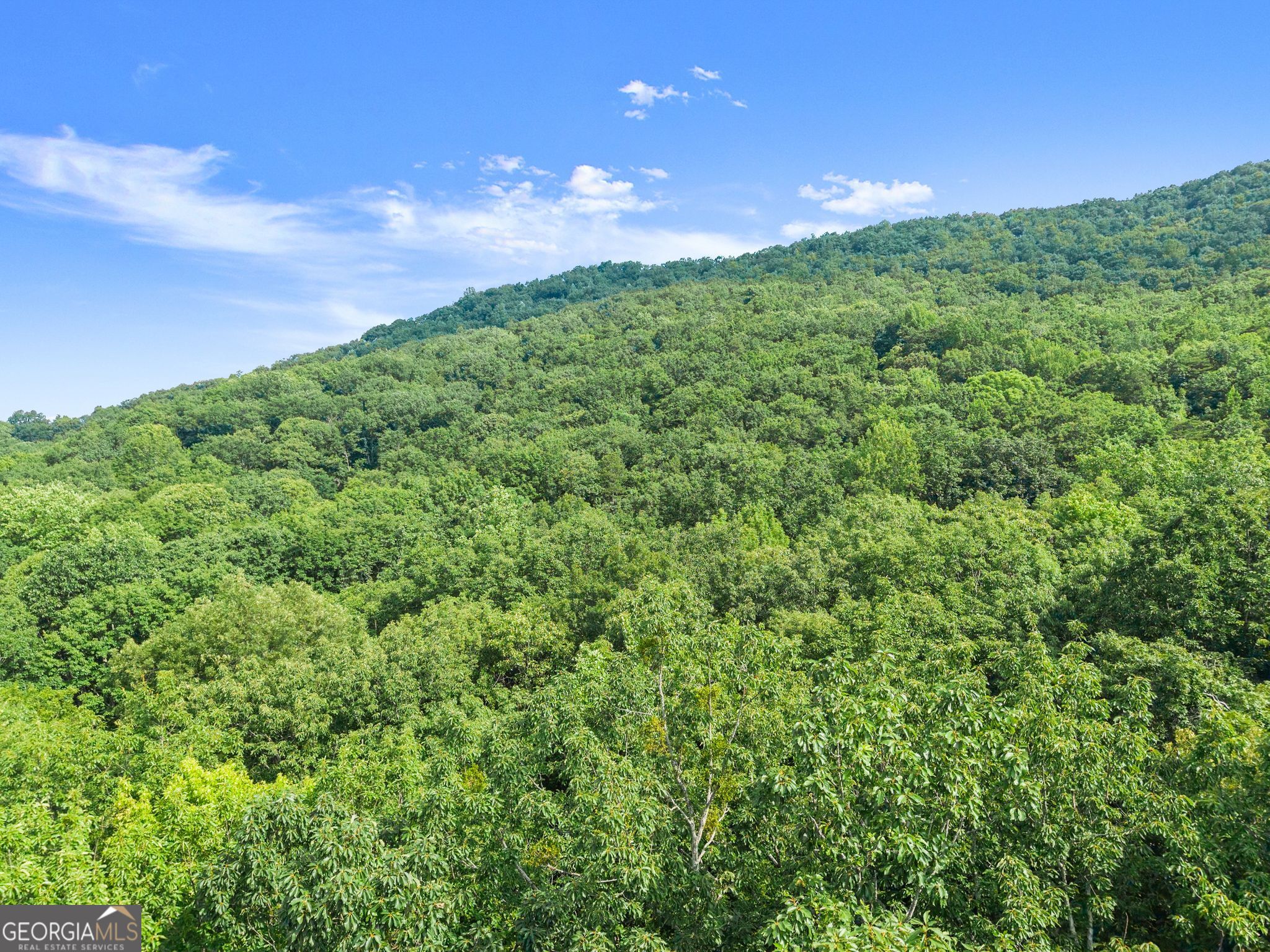 0 Wauka Ridge Road Property Photo 29