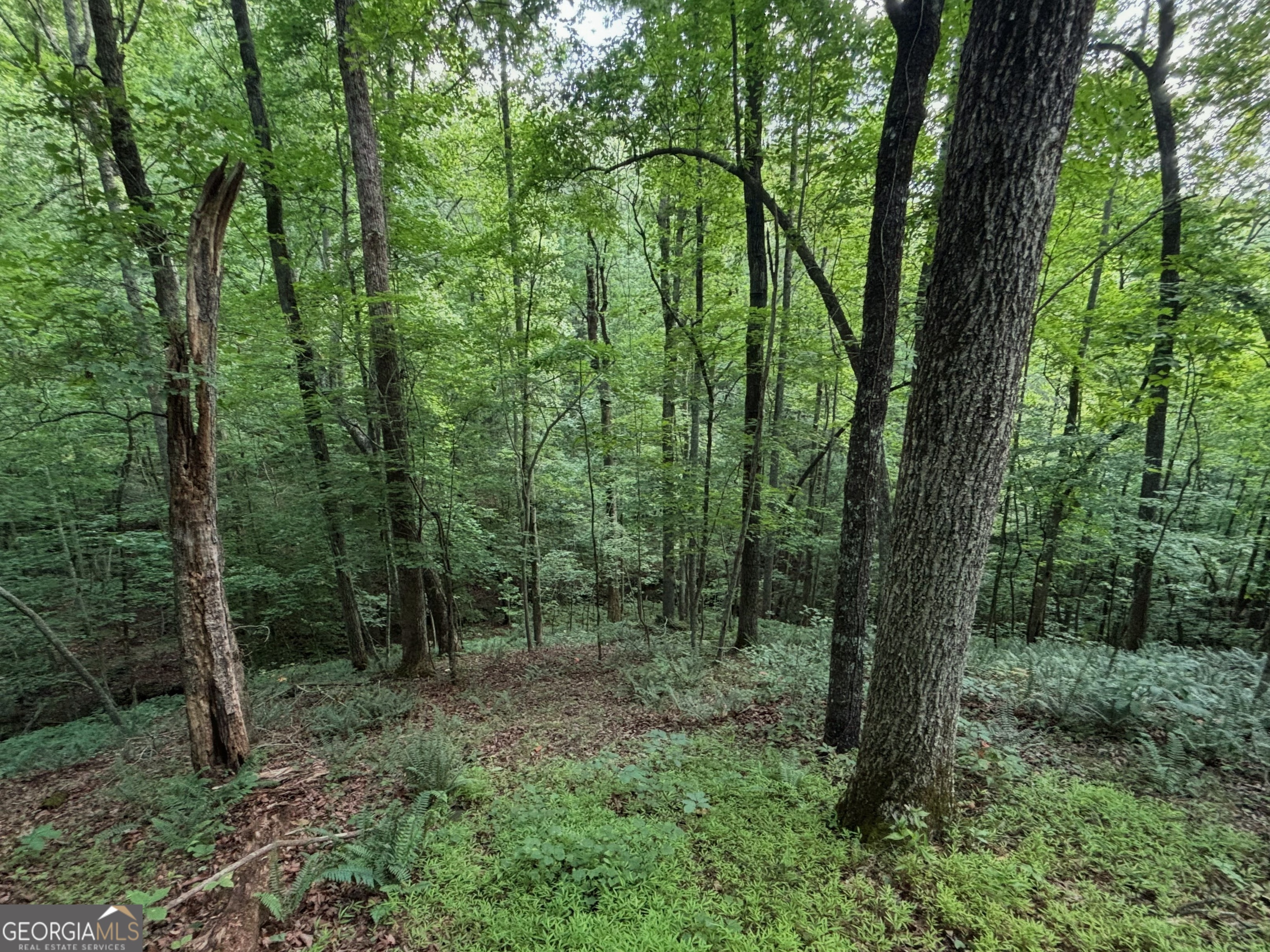 7911 Belton Bridge Road Property Photo 39